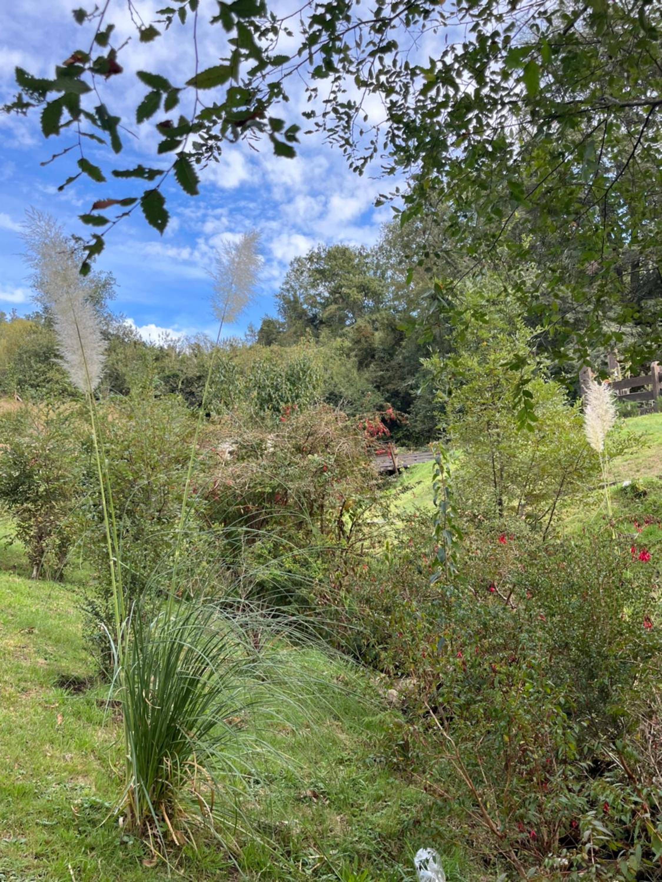 Wincarayen Lodge & Cabañas