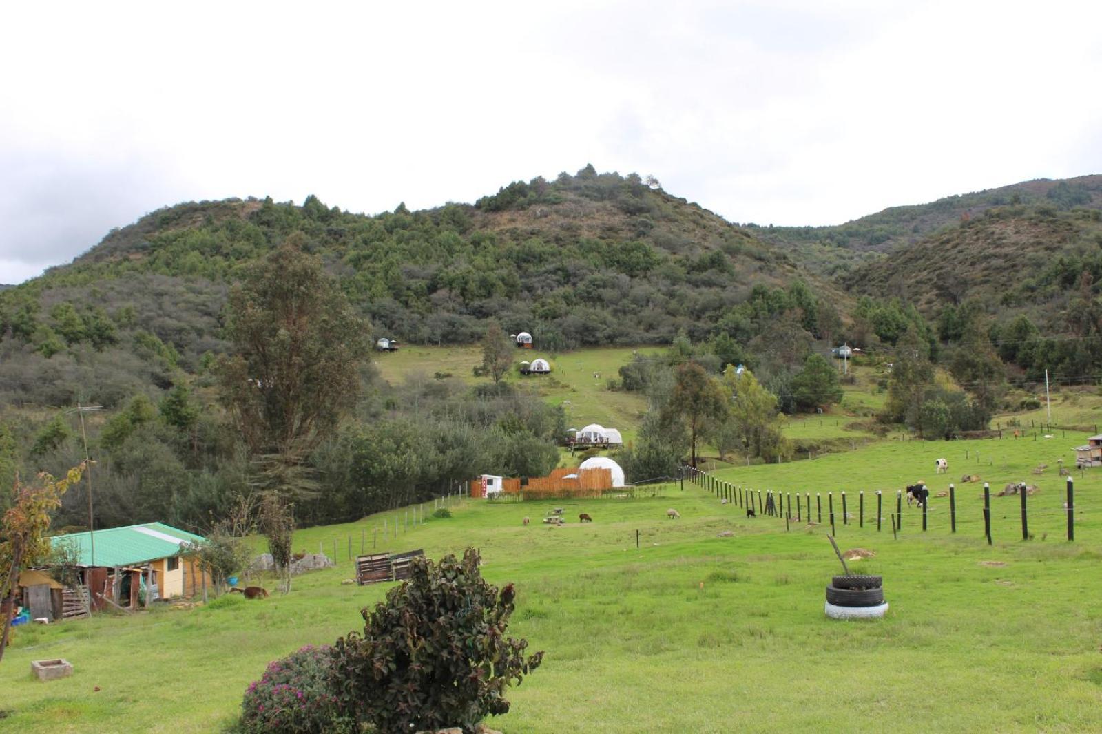 Photo 42