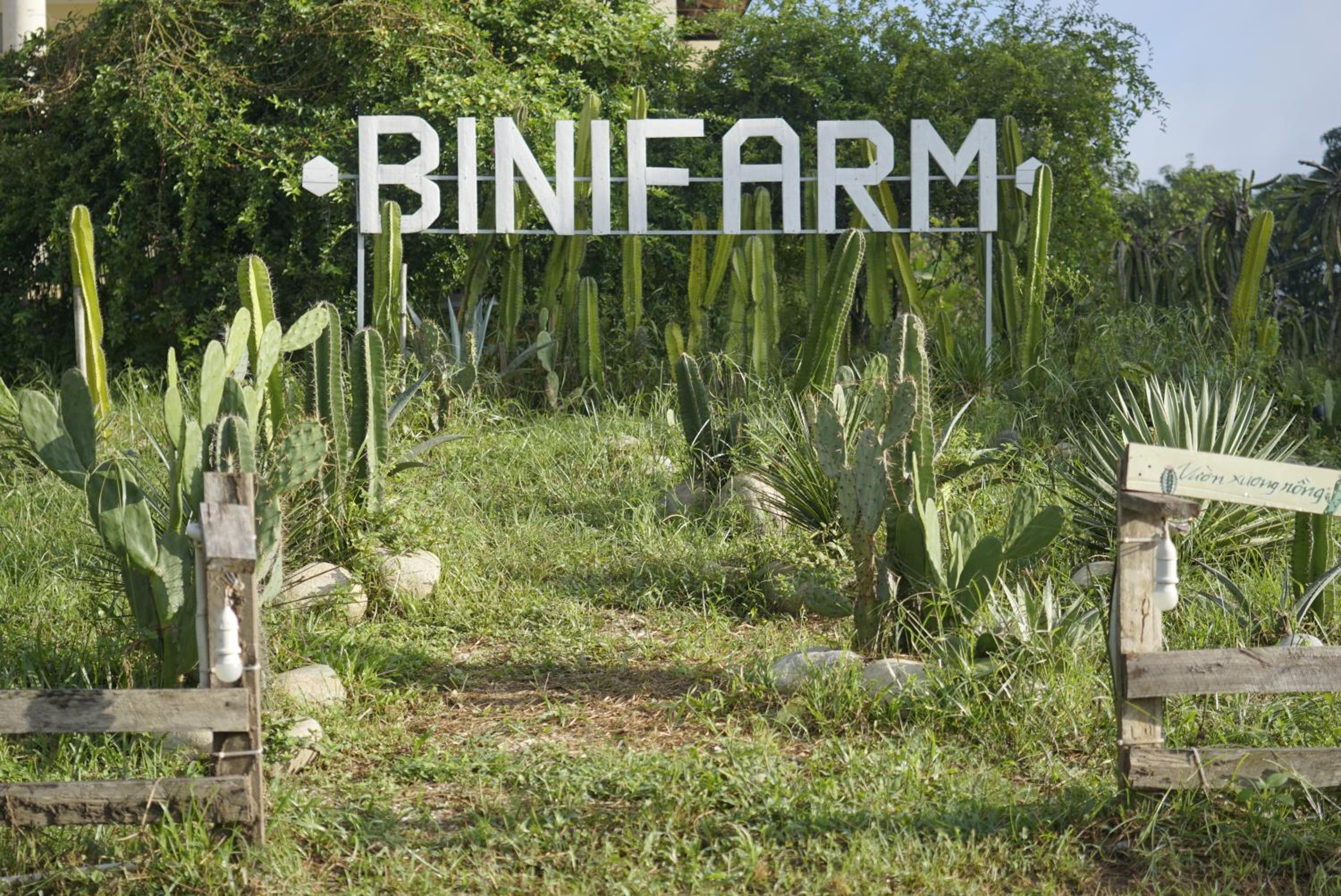Binifarm Tropical Retreat view 2