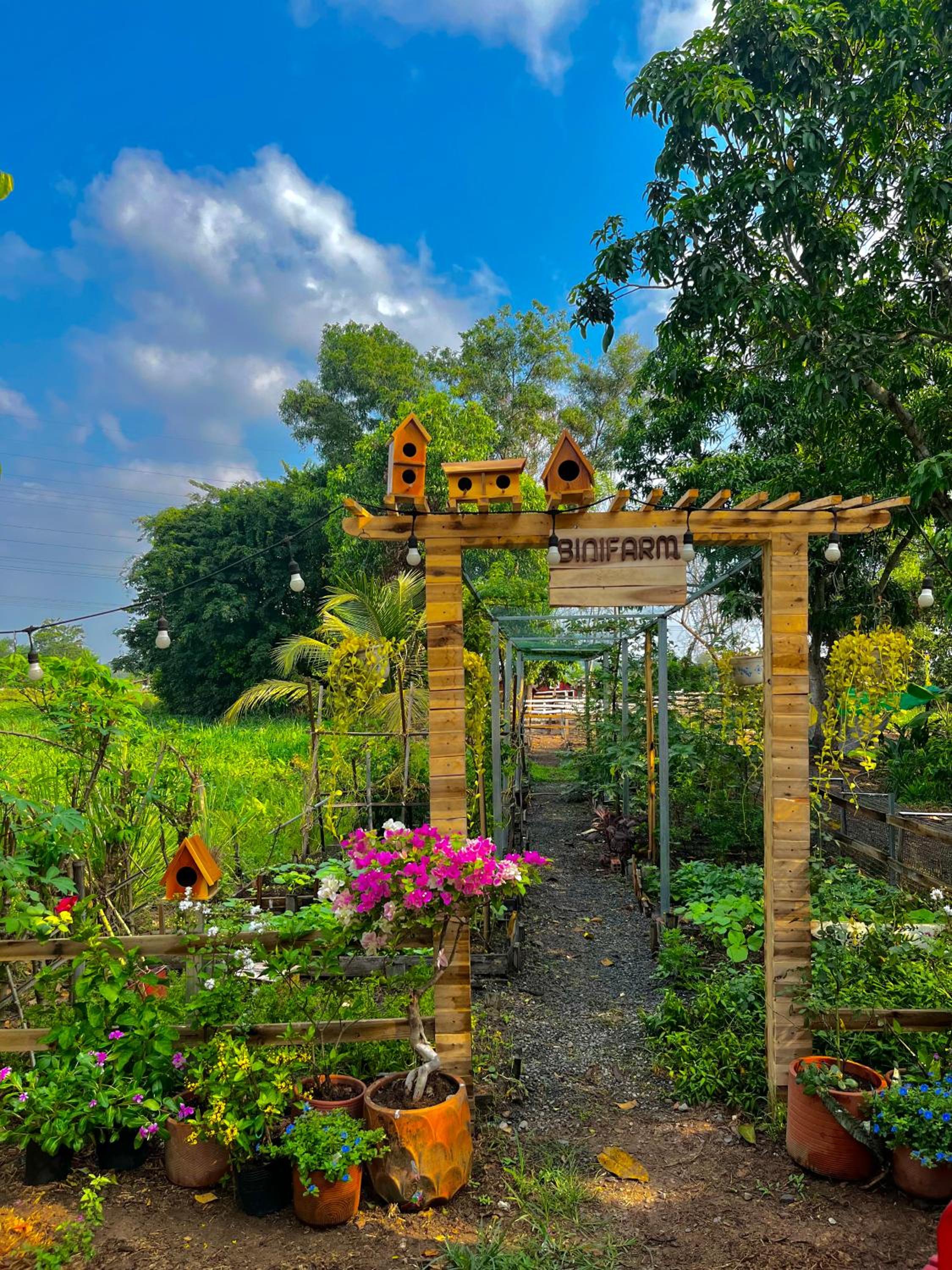 Binifarm Tropical Retreat view 3