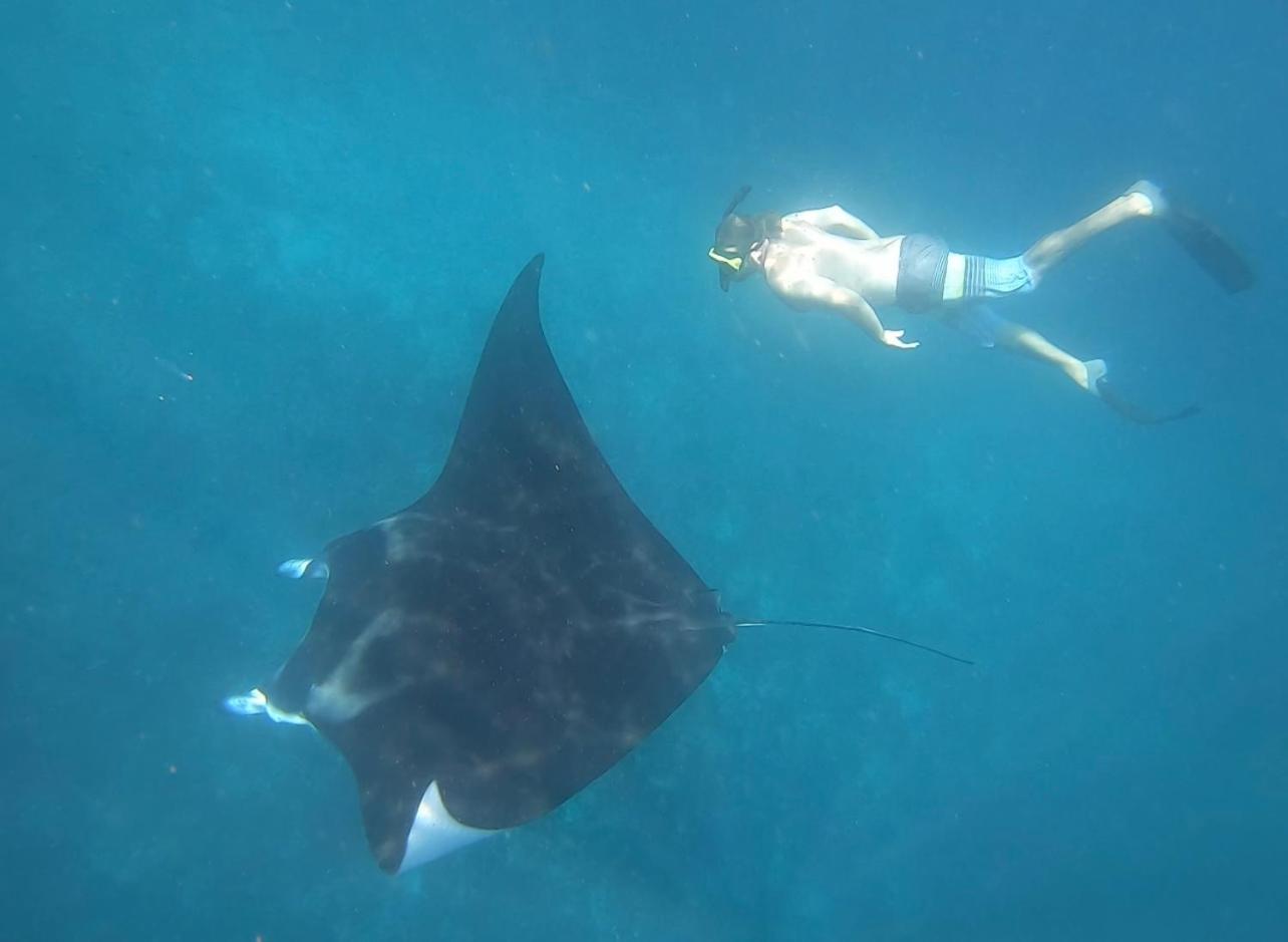 Jhuna Komodo Homestay