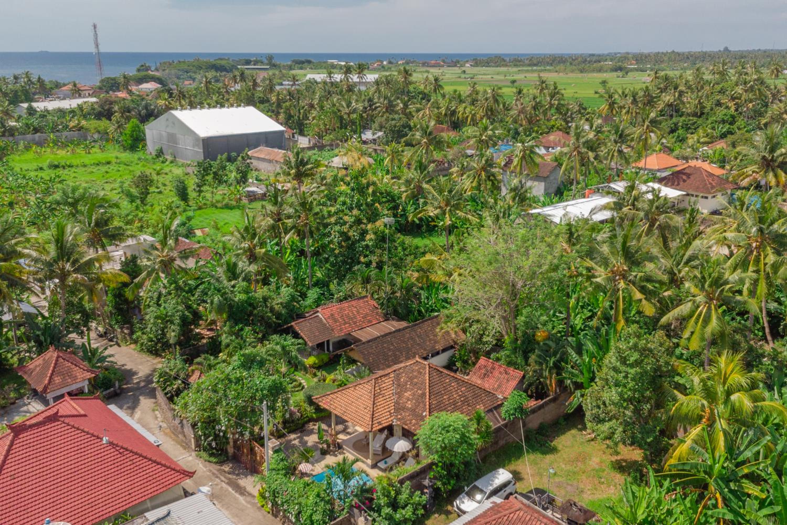 Tropical Oasis Lovina view 5