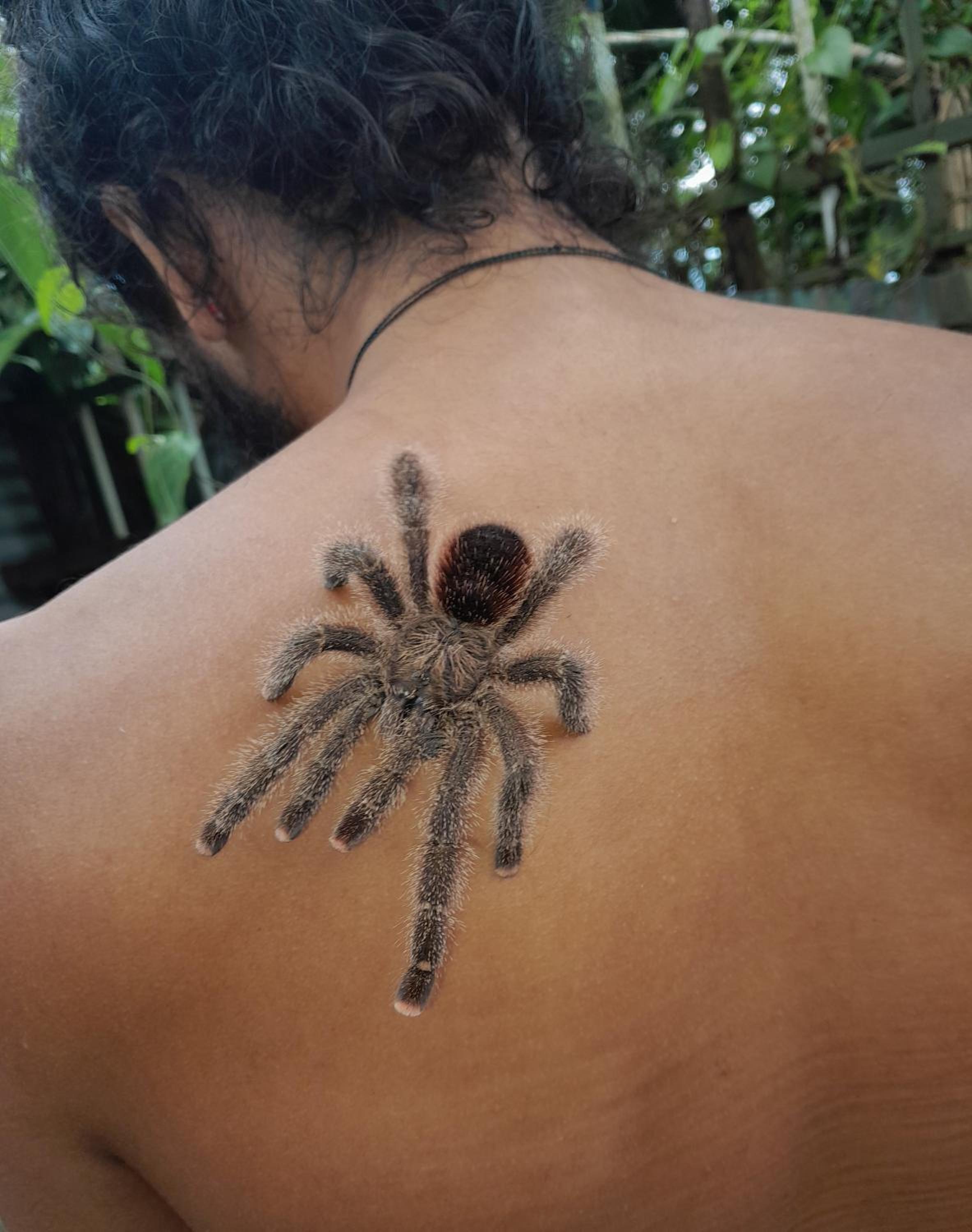human