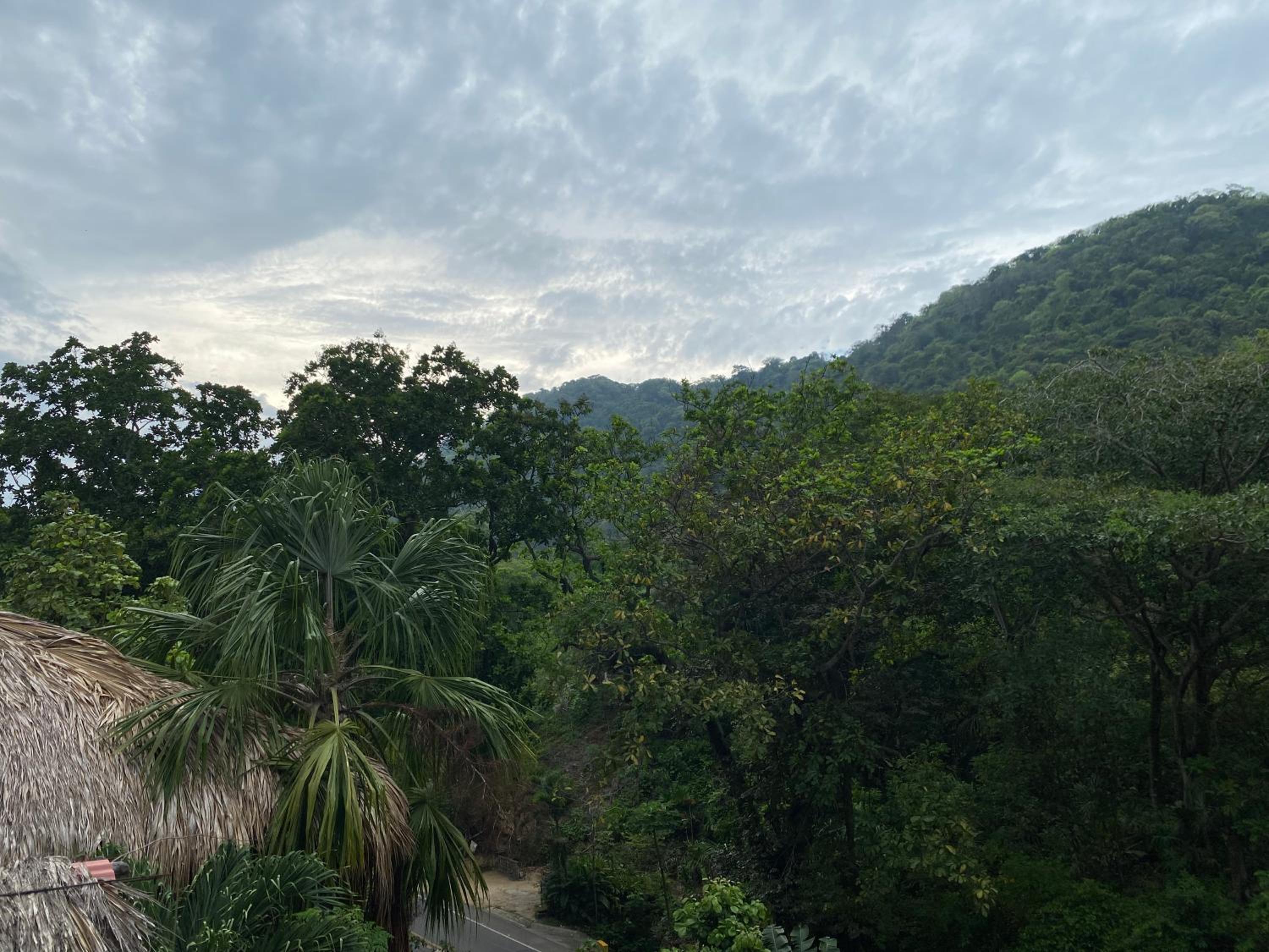 Eco Hostal La Perla Tayrona