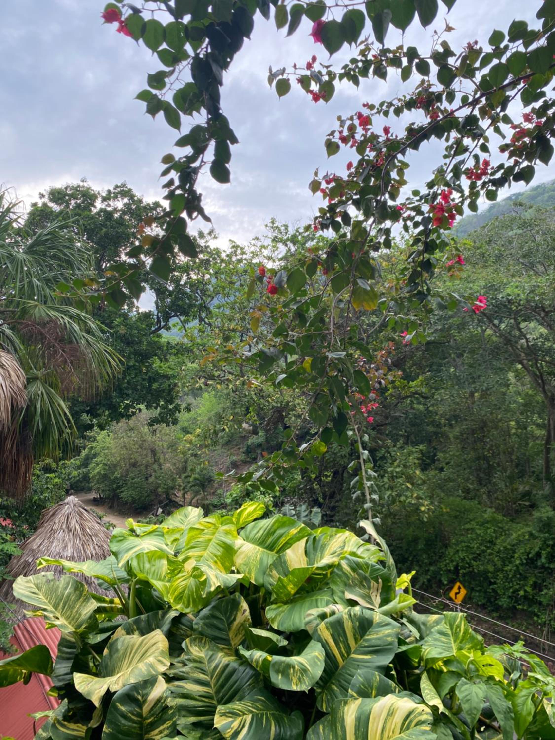 Eco Hostal La Perla Tayrona