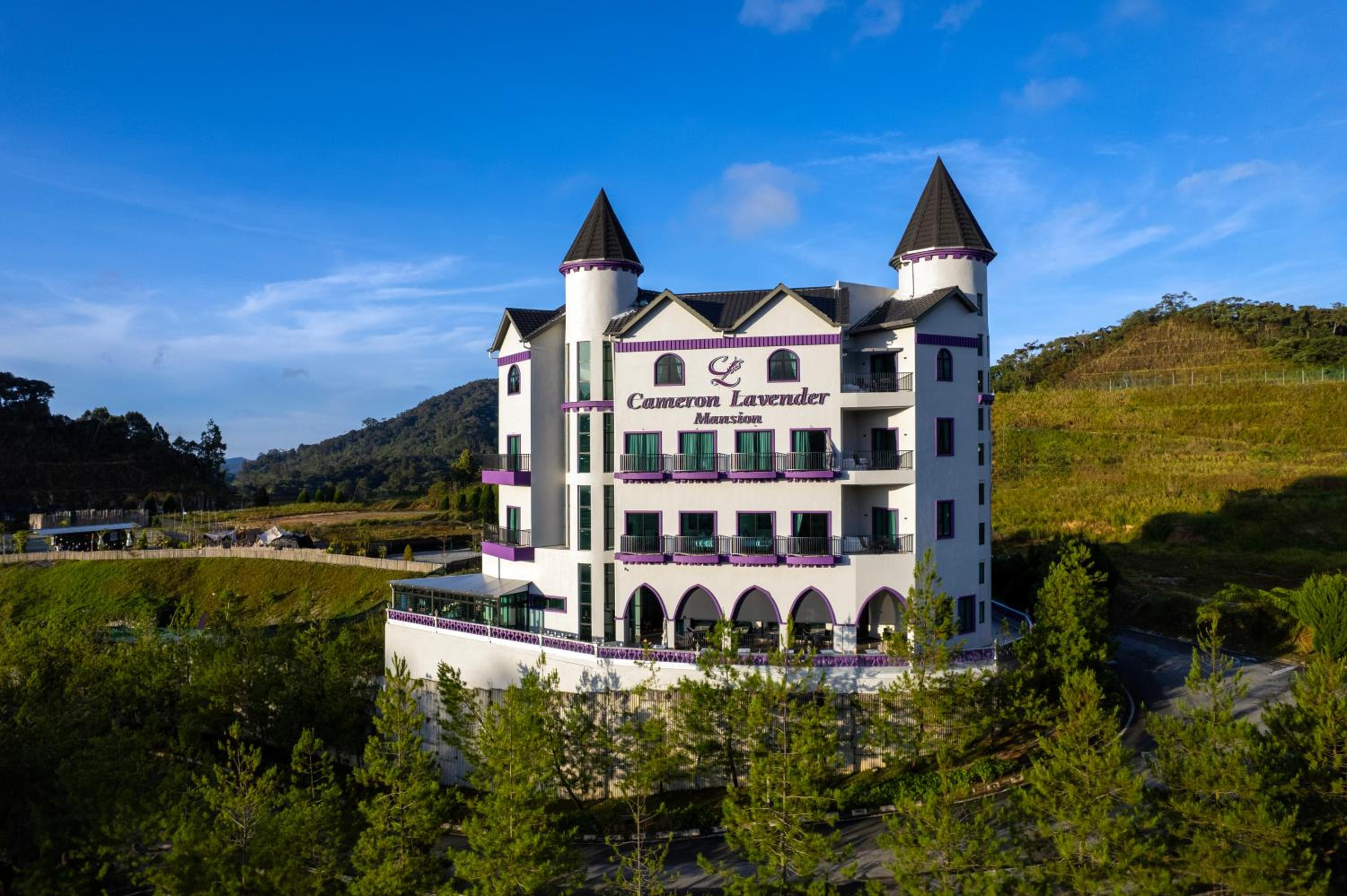 Hotel Cameron Lavender Mansion by PLAY