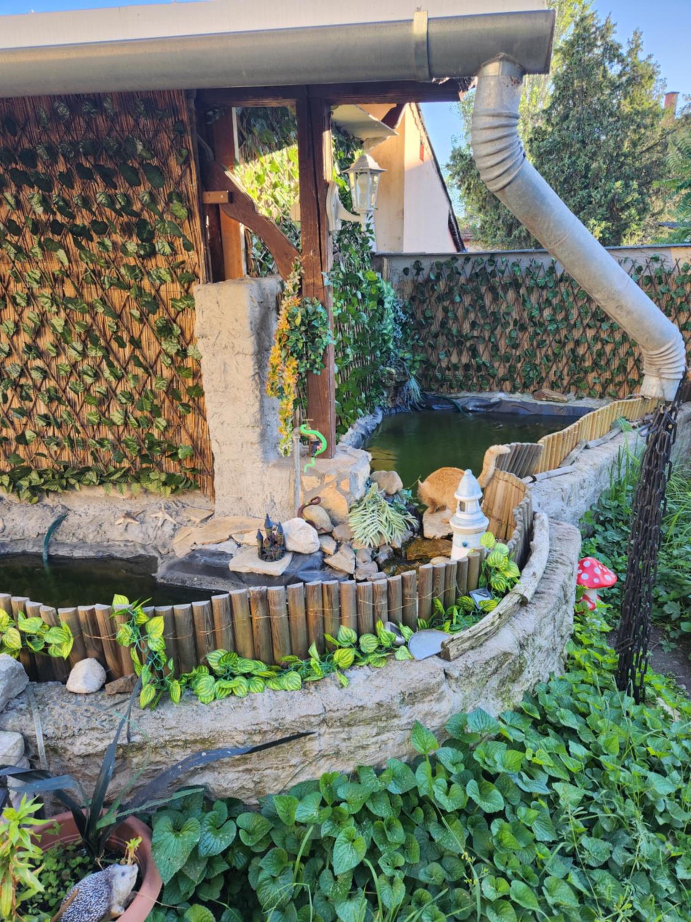 Nagyi Apartman Kecskemét view 5