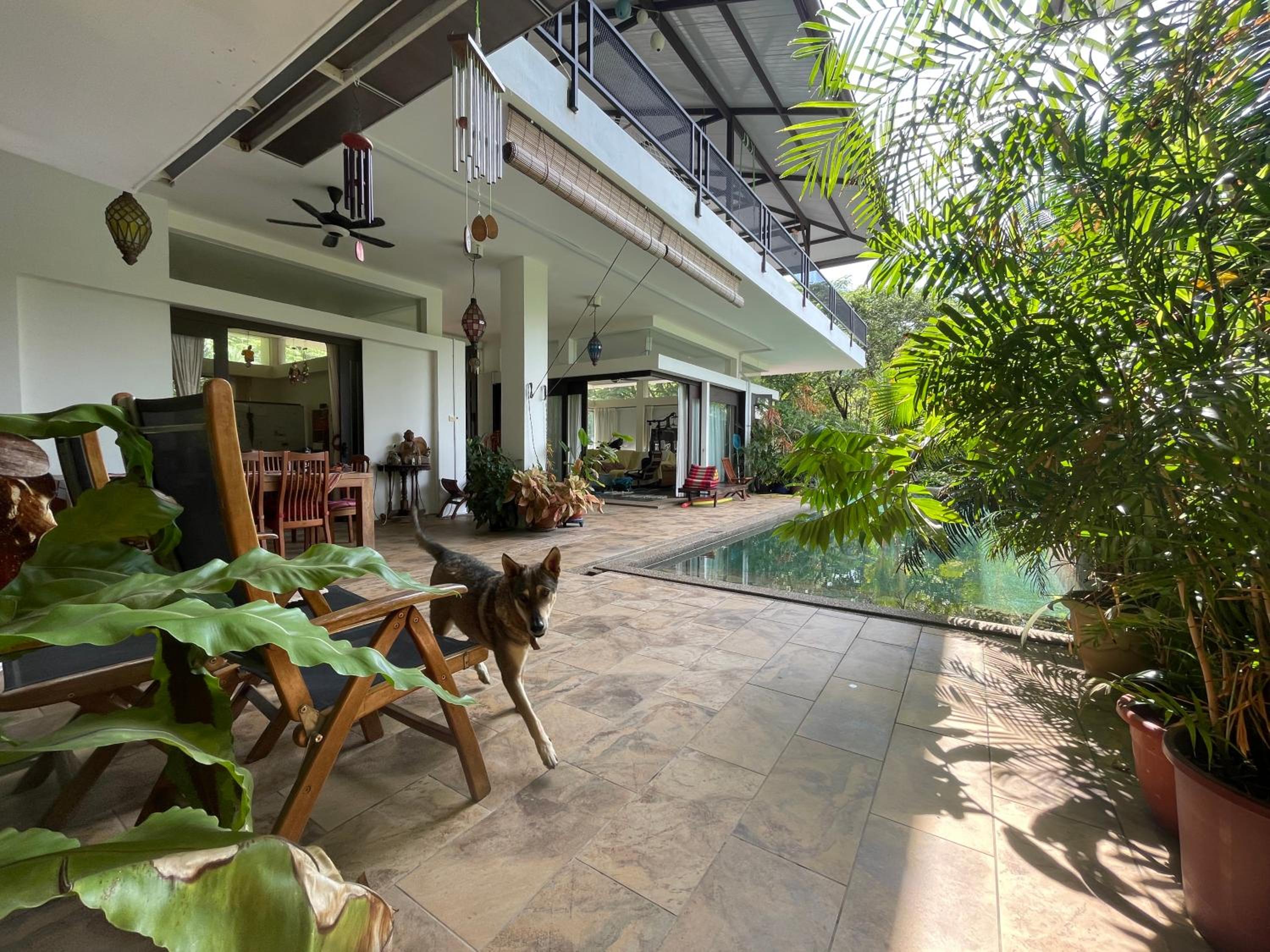Rumah Singa, Villa 1 Andaman Hills, Langkawi