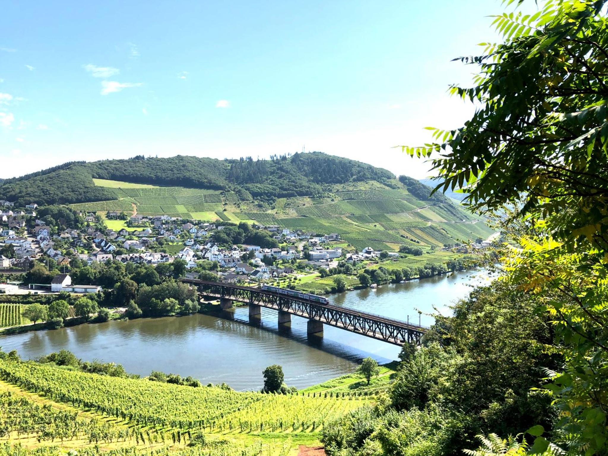 Ferienhaus Bad Bertrich