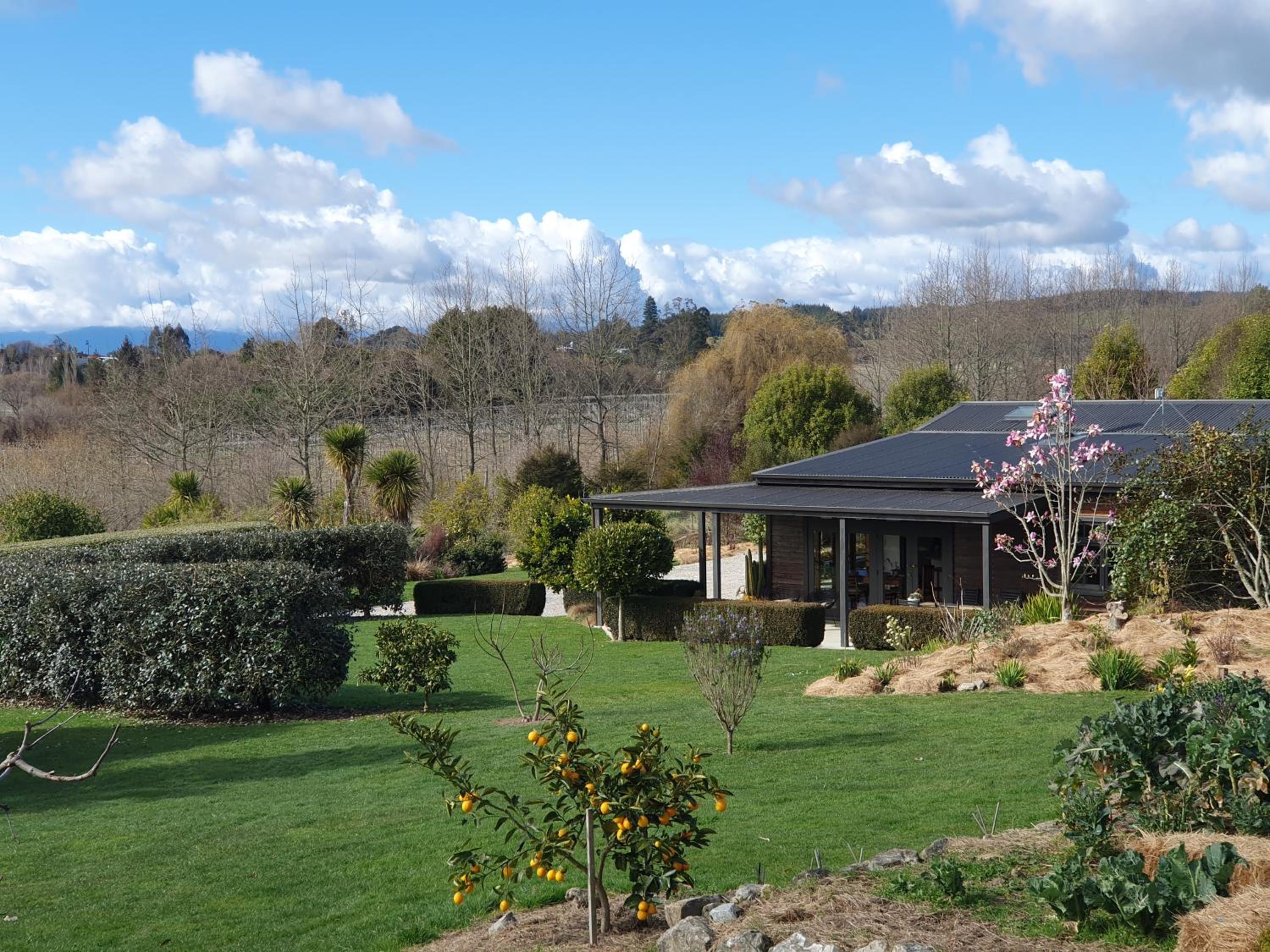 Supplejack Gardens view 5