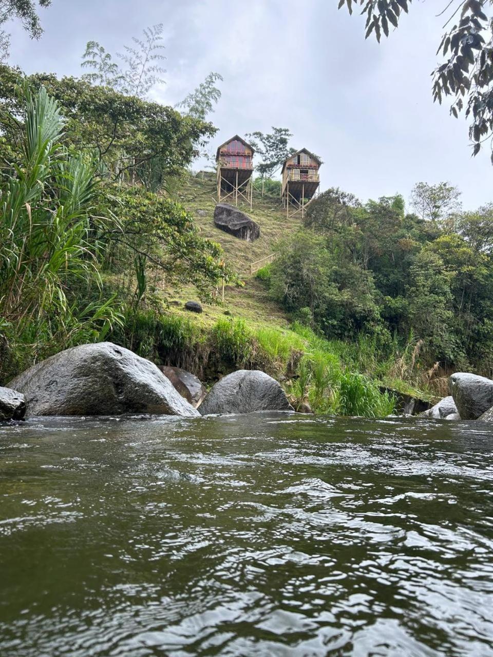 Cabañas Colibrí