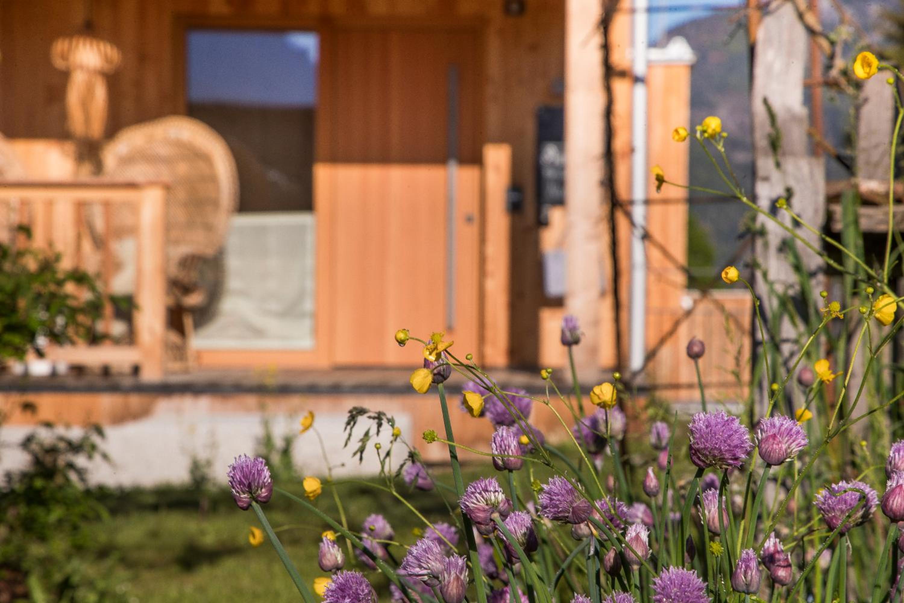 Bio Chalets Alpegg