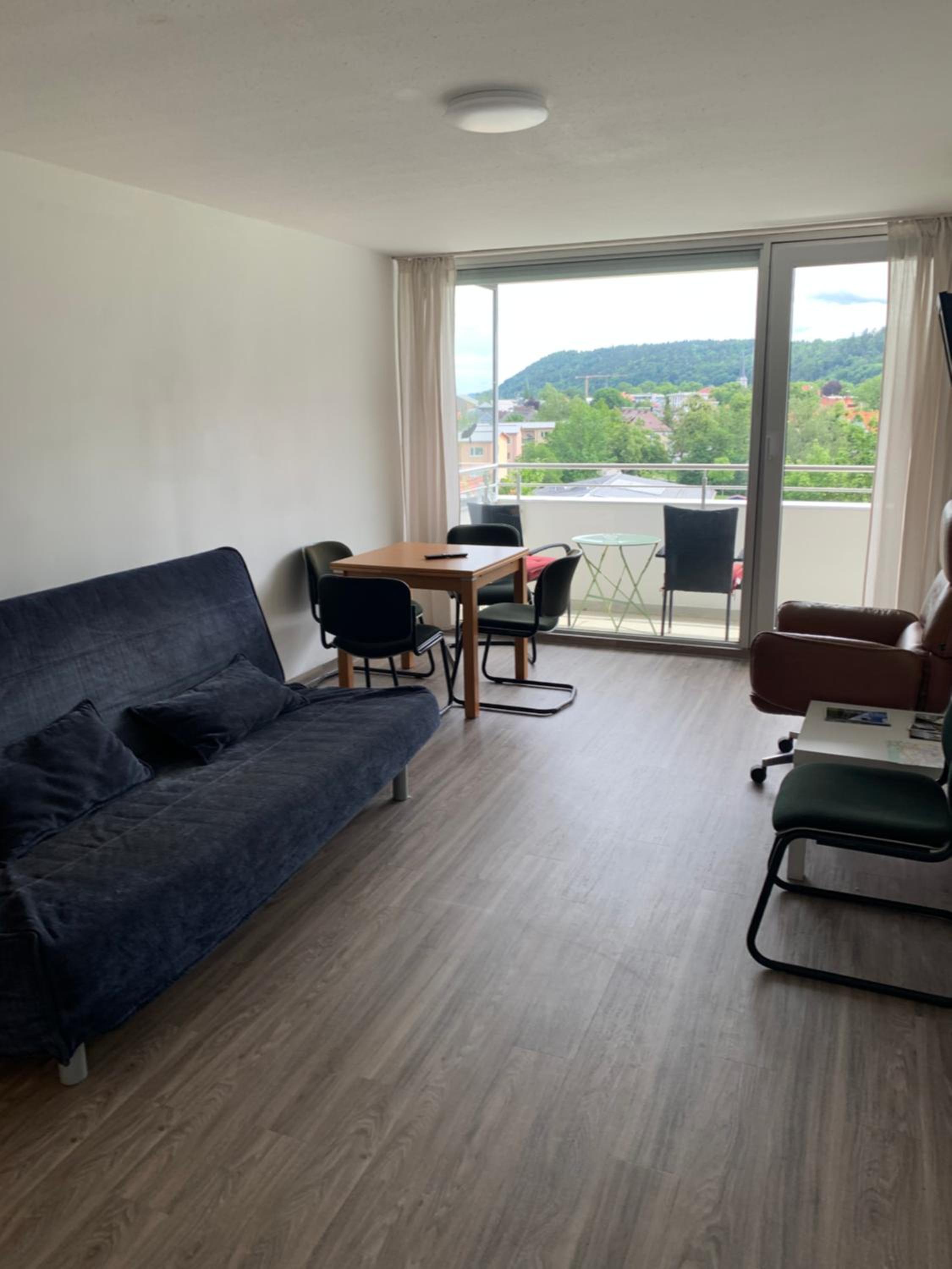 Reichenbach Apartment 501