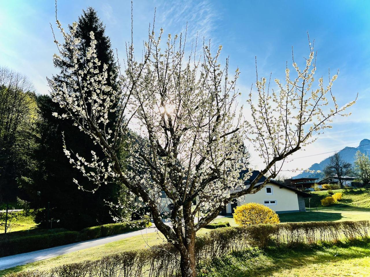 Ferienhaus Faaker See 23