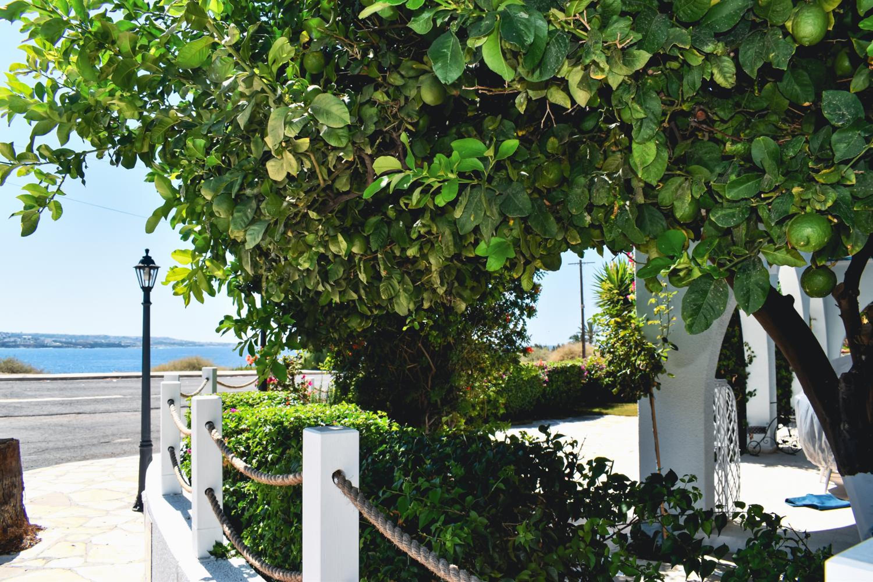VILLA MYKONOS
