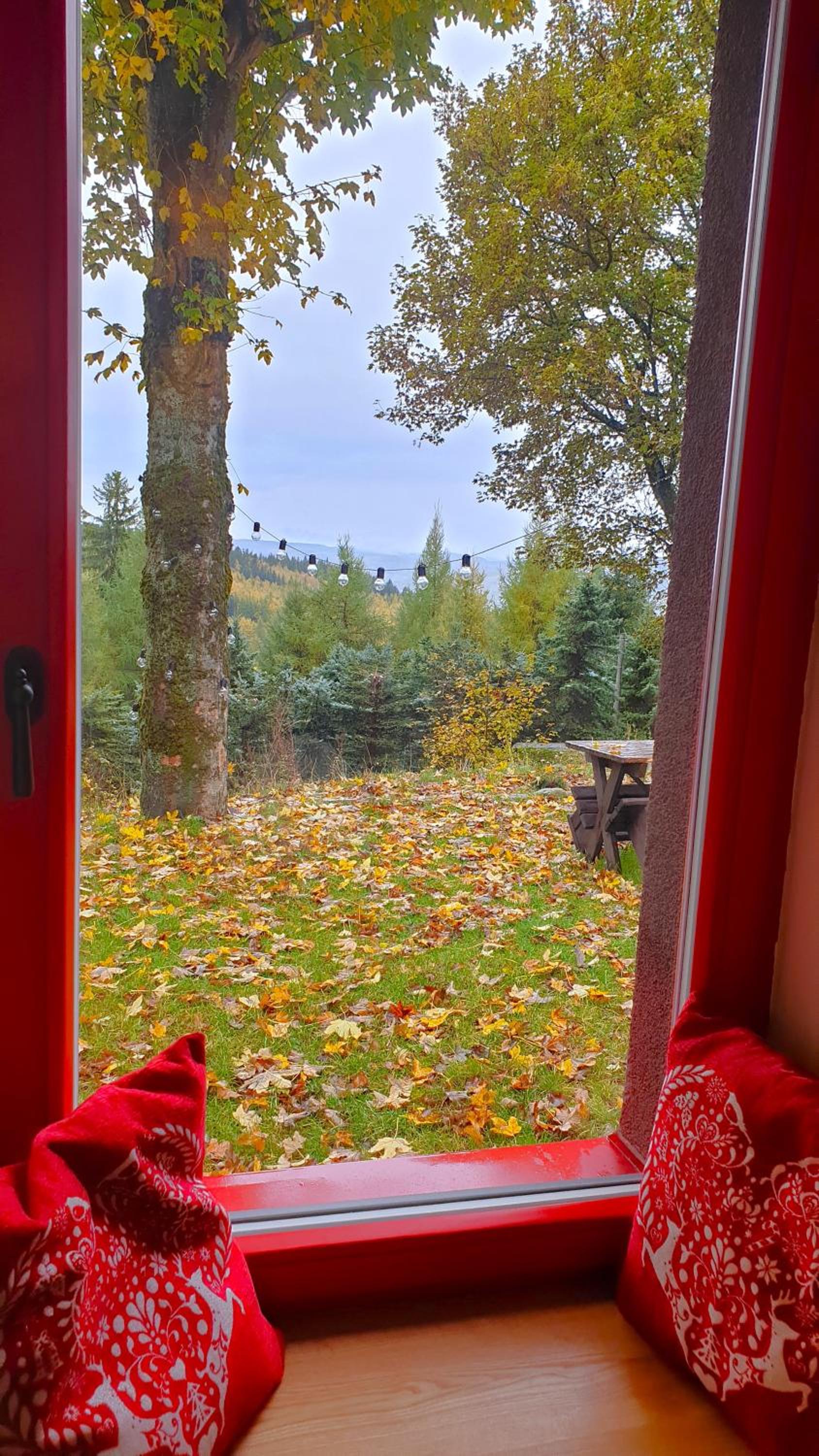 Five maple home for families and wild nature lovers