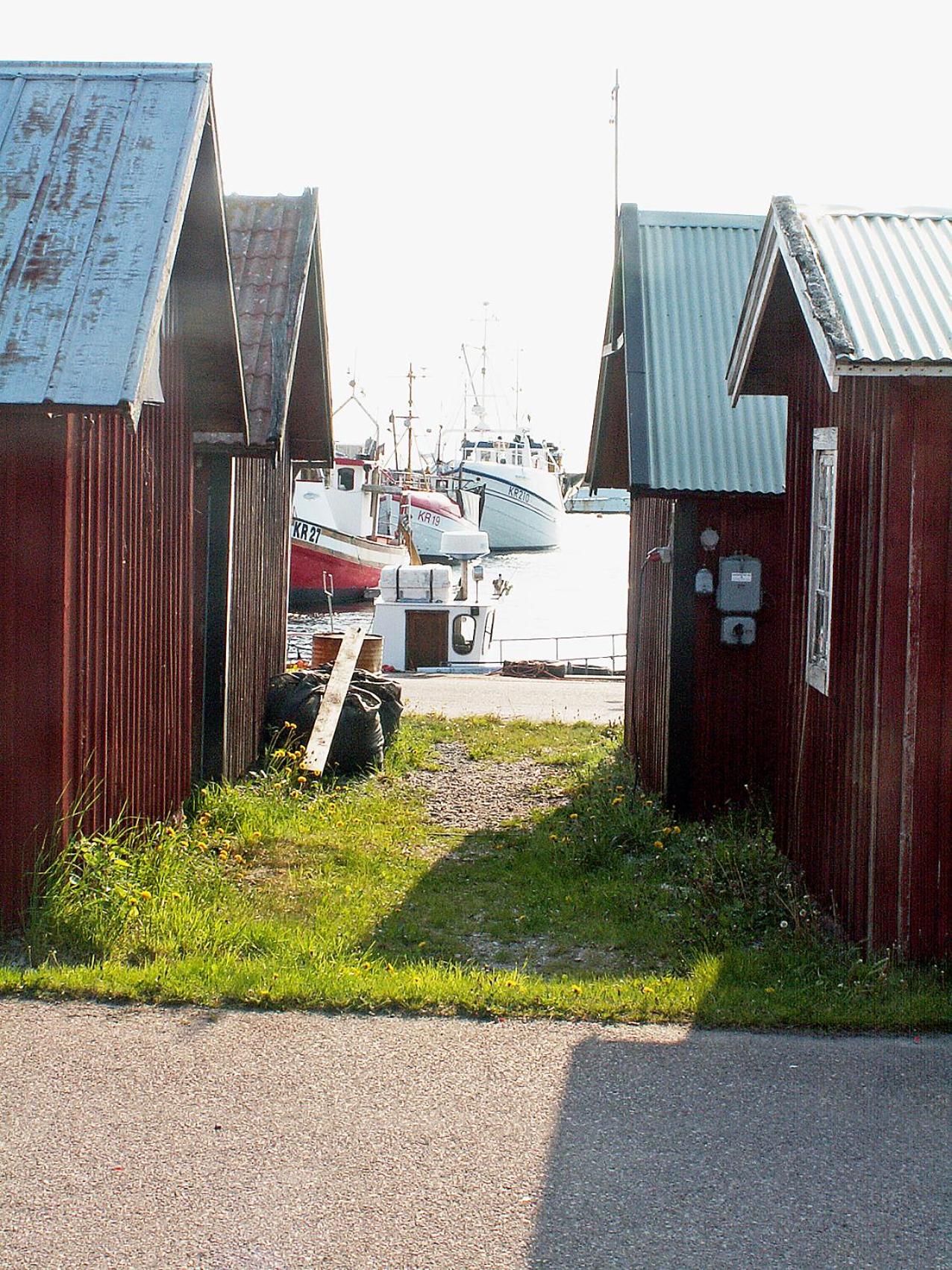Photo 15