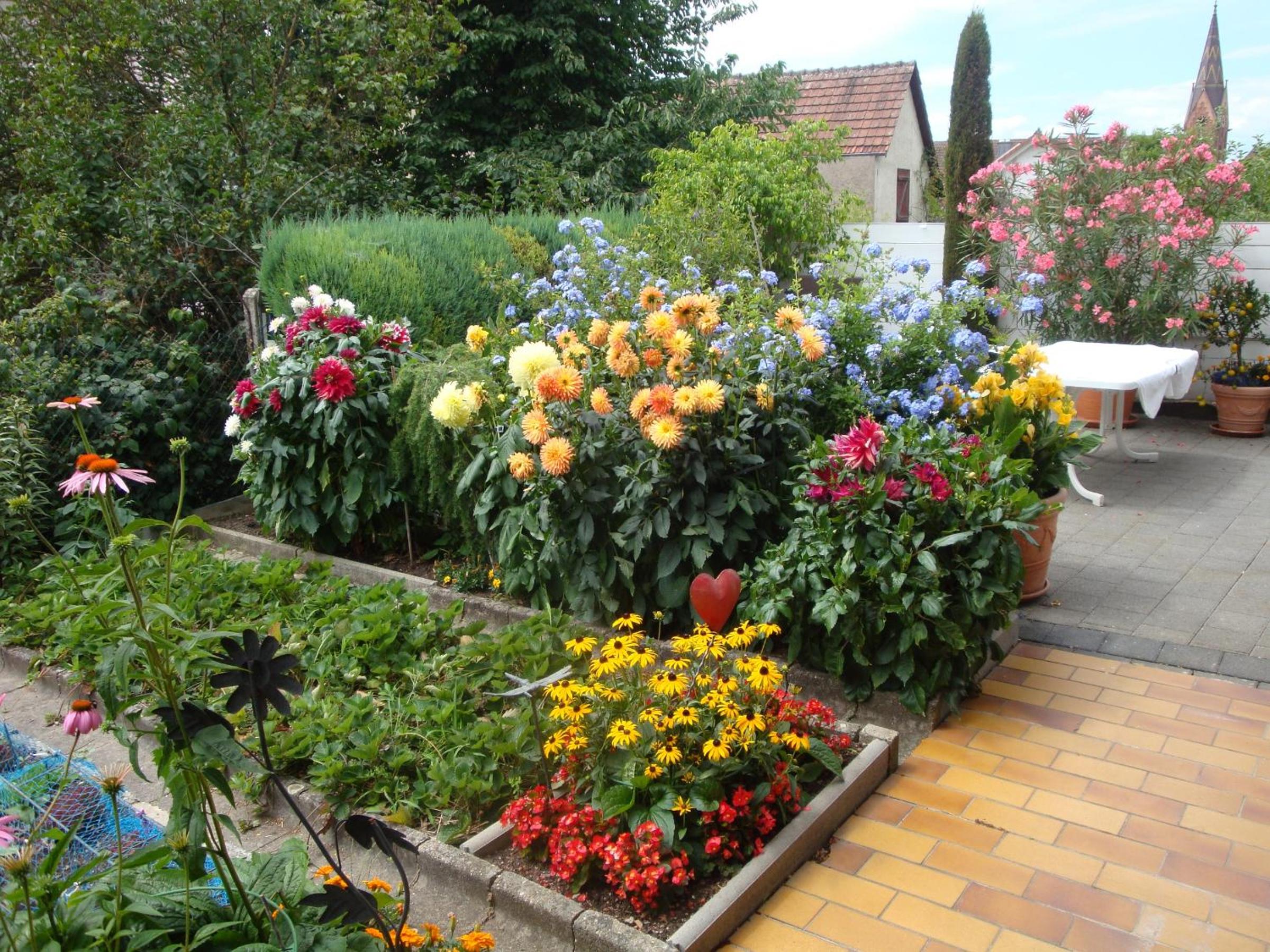 Photo 20