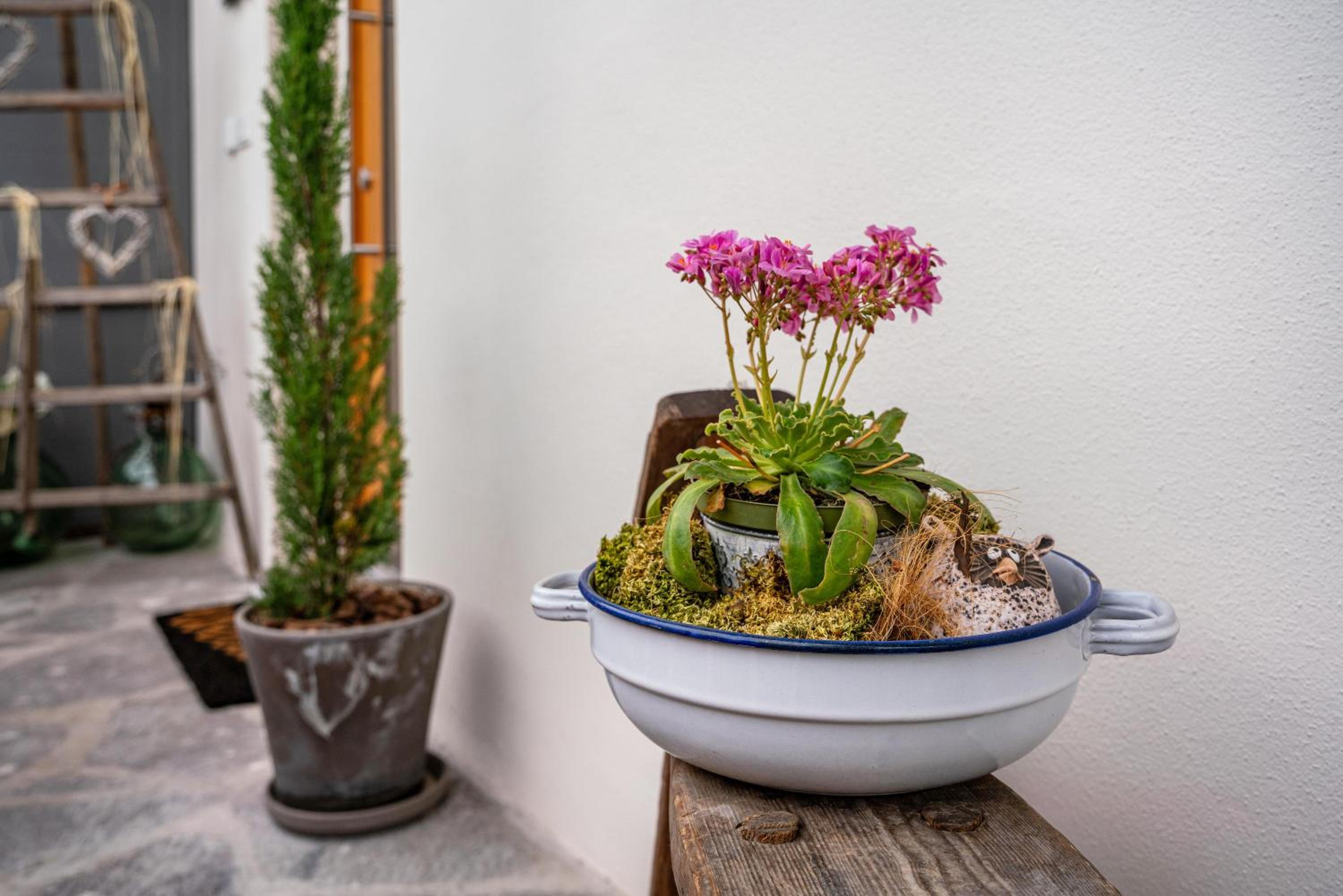 Richard´s Home Auer