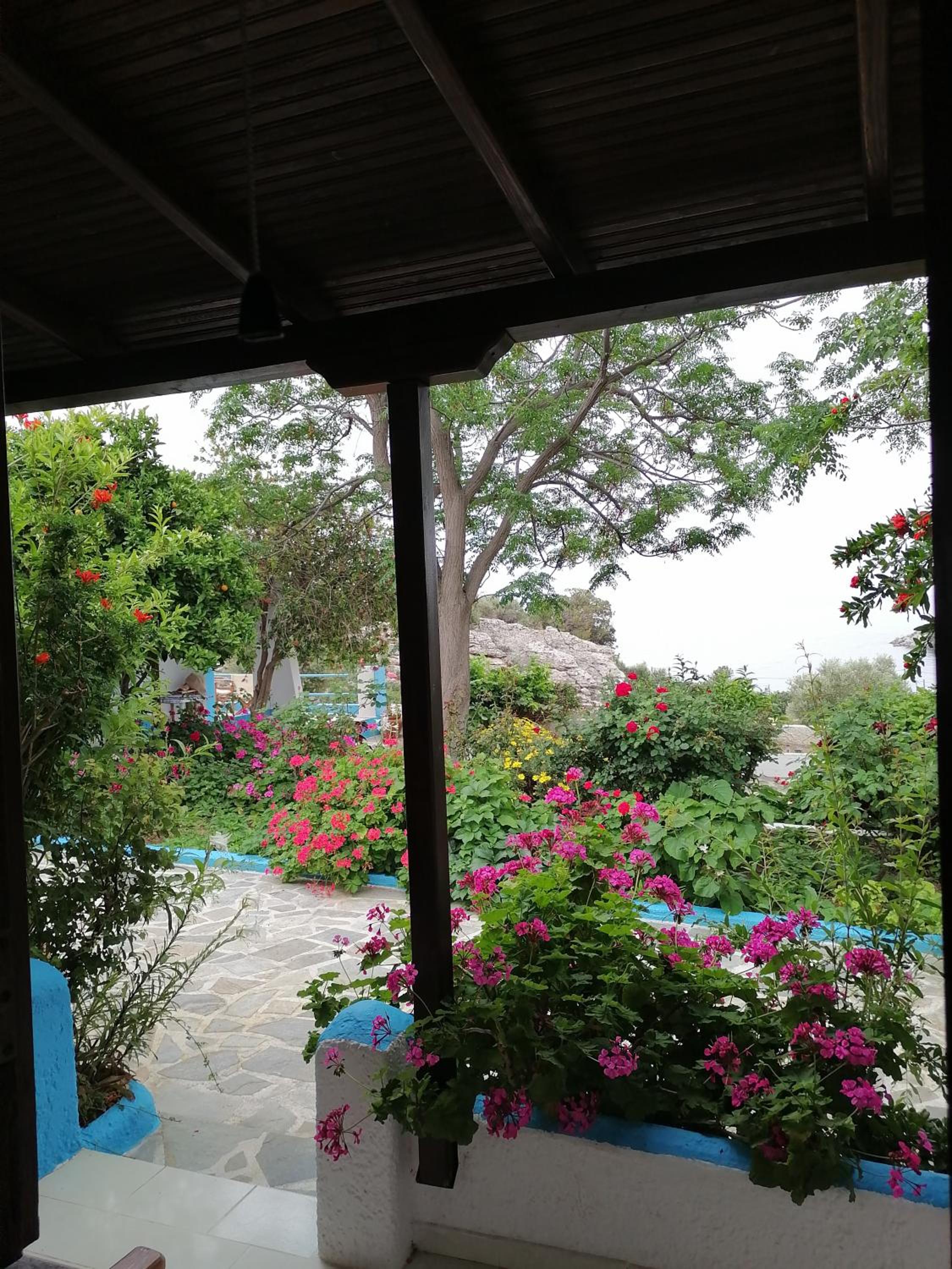 Studios Ioanna Limnionas Samos