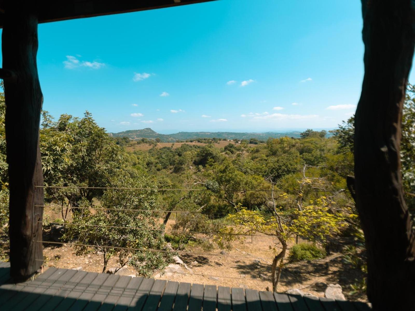 Oluchi Lodge