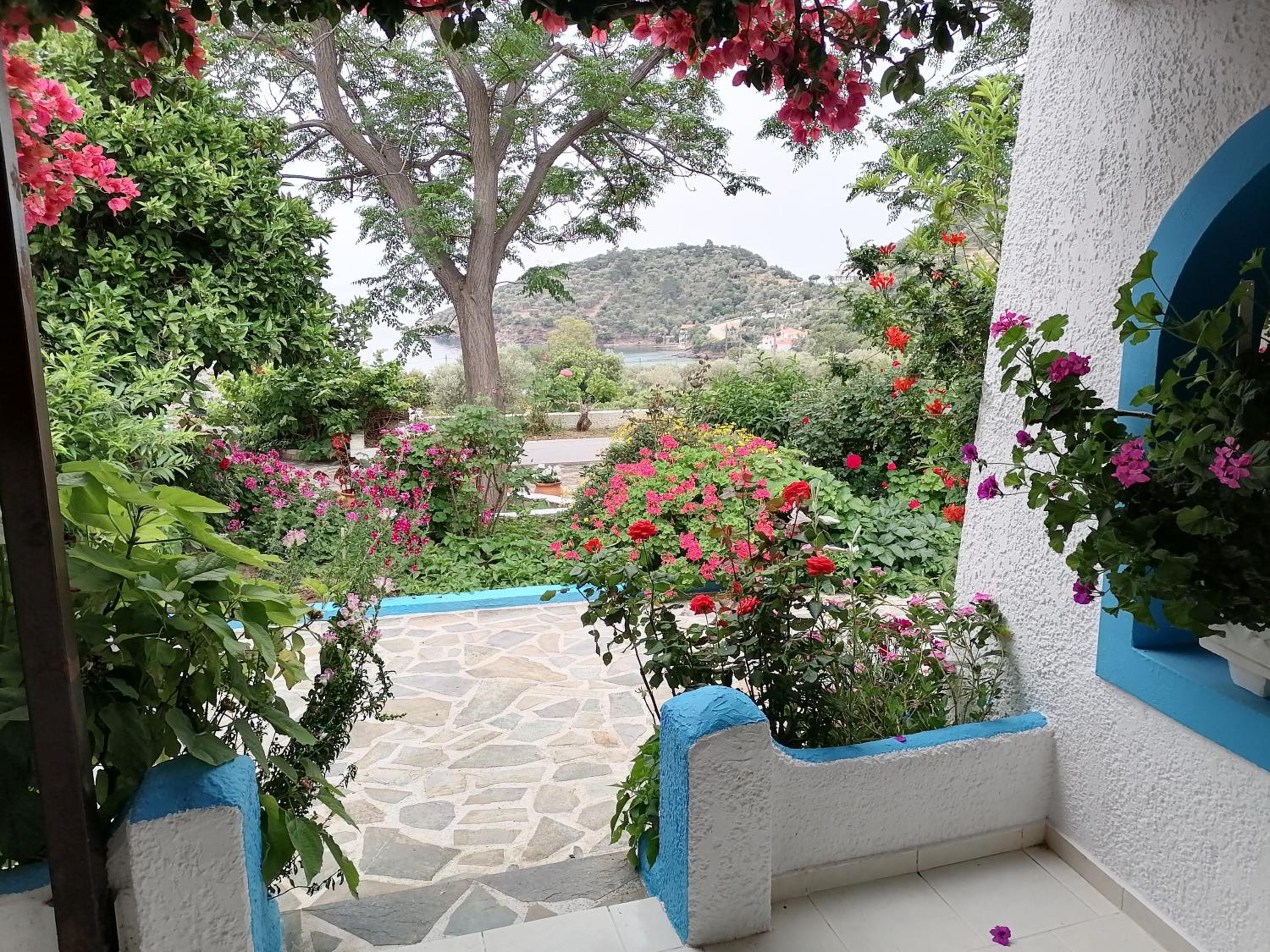 Studios Ioanna Limnionas Samos
