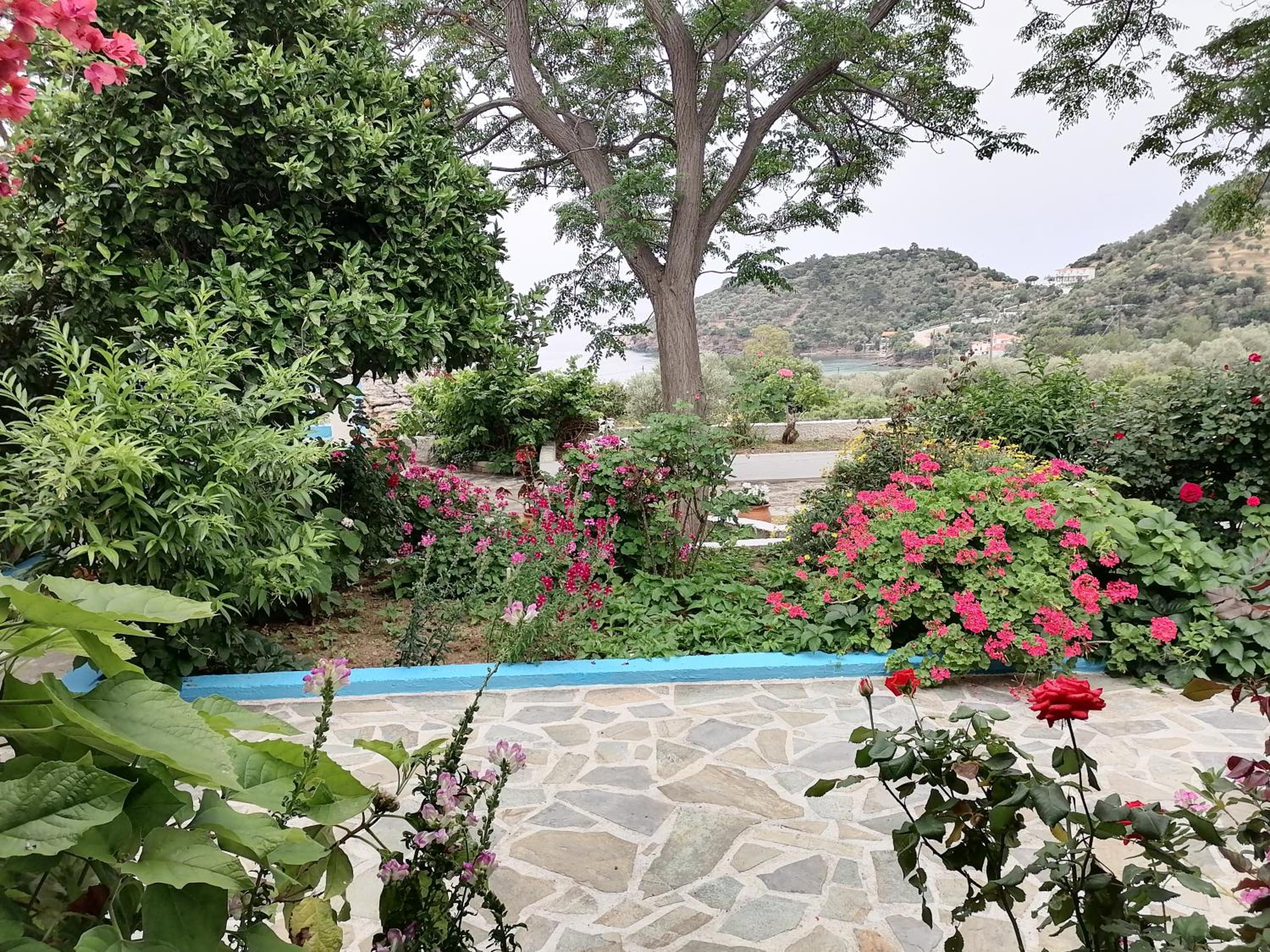 Studios Ioanna Limnionas Samos