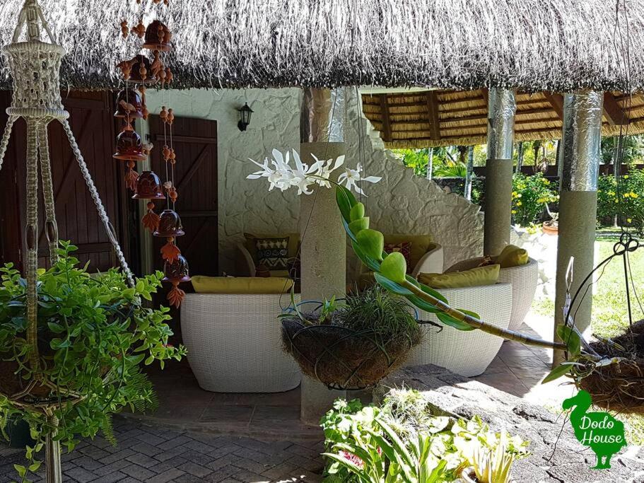 DODO HOUSE PEREYBERE photo 5