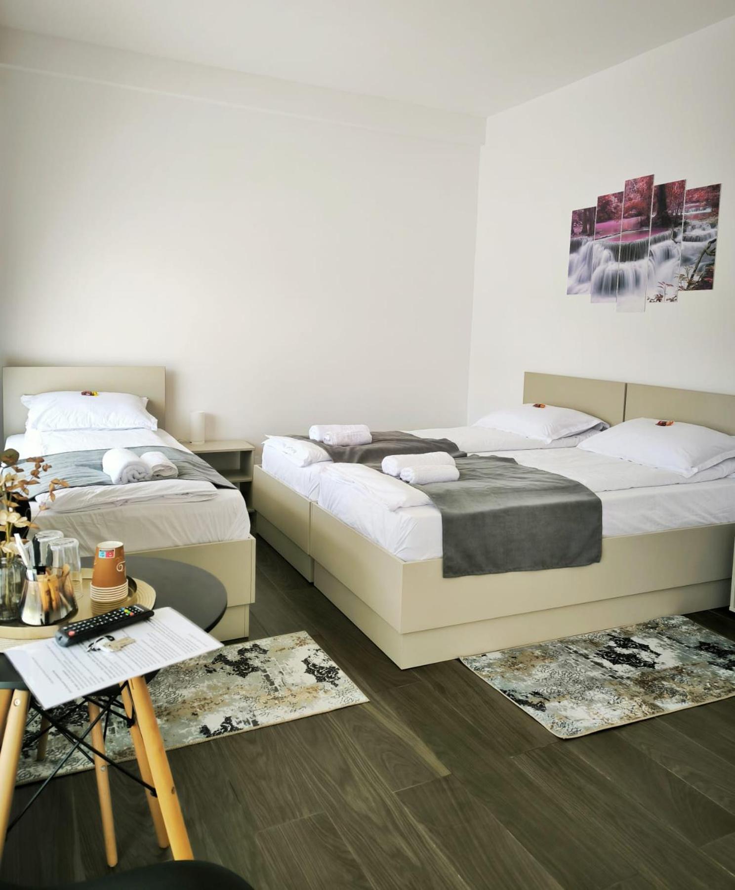 Adriana Touristik Hostel 3 Stele Arad view 2