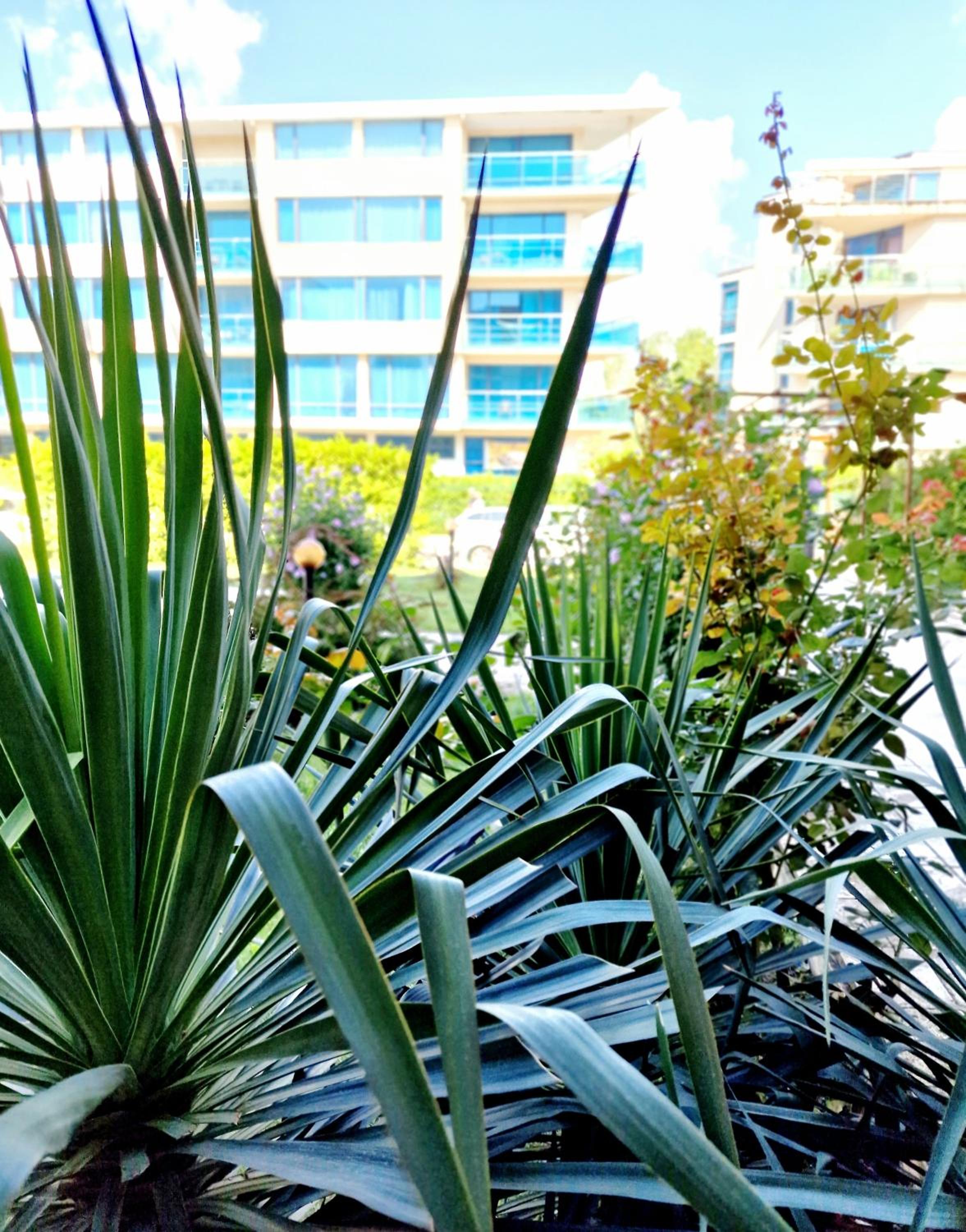 Immaculate 1-Bed Apartment in Sunny Beach