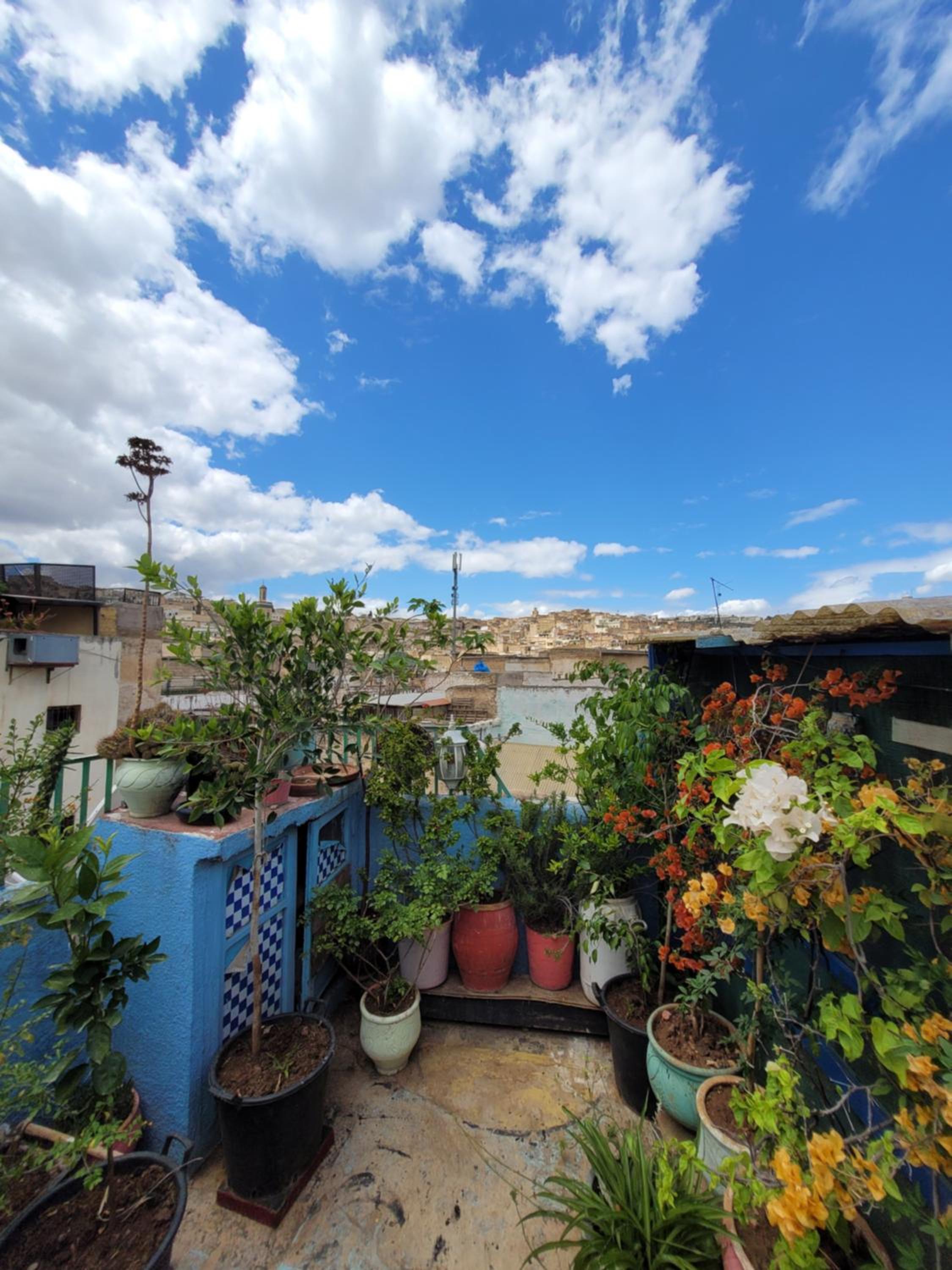 roof