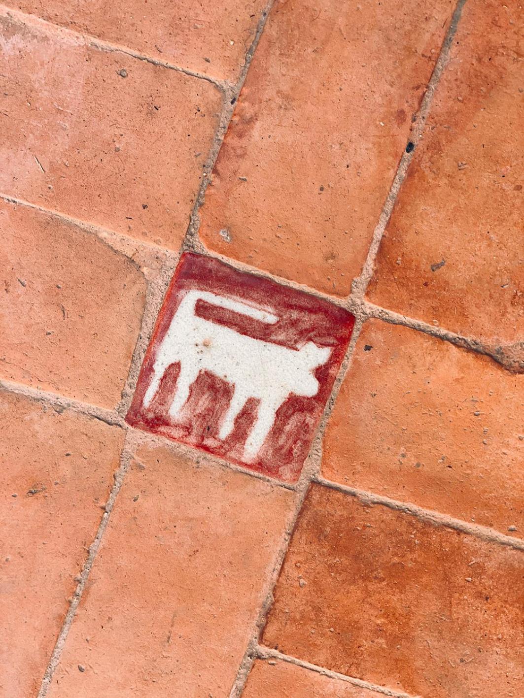 Riyad Lion Rouge view 2