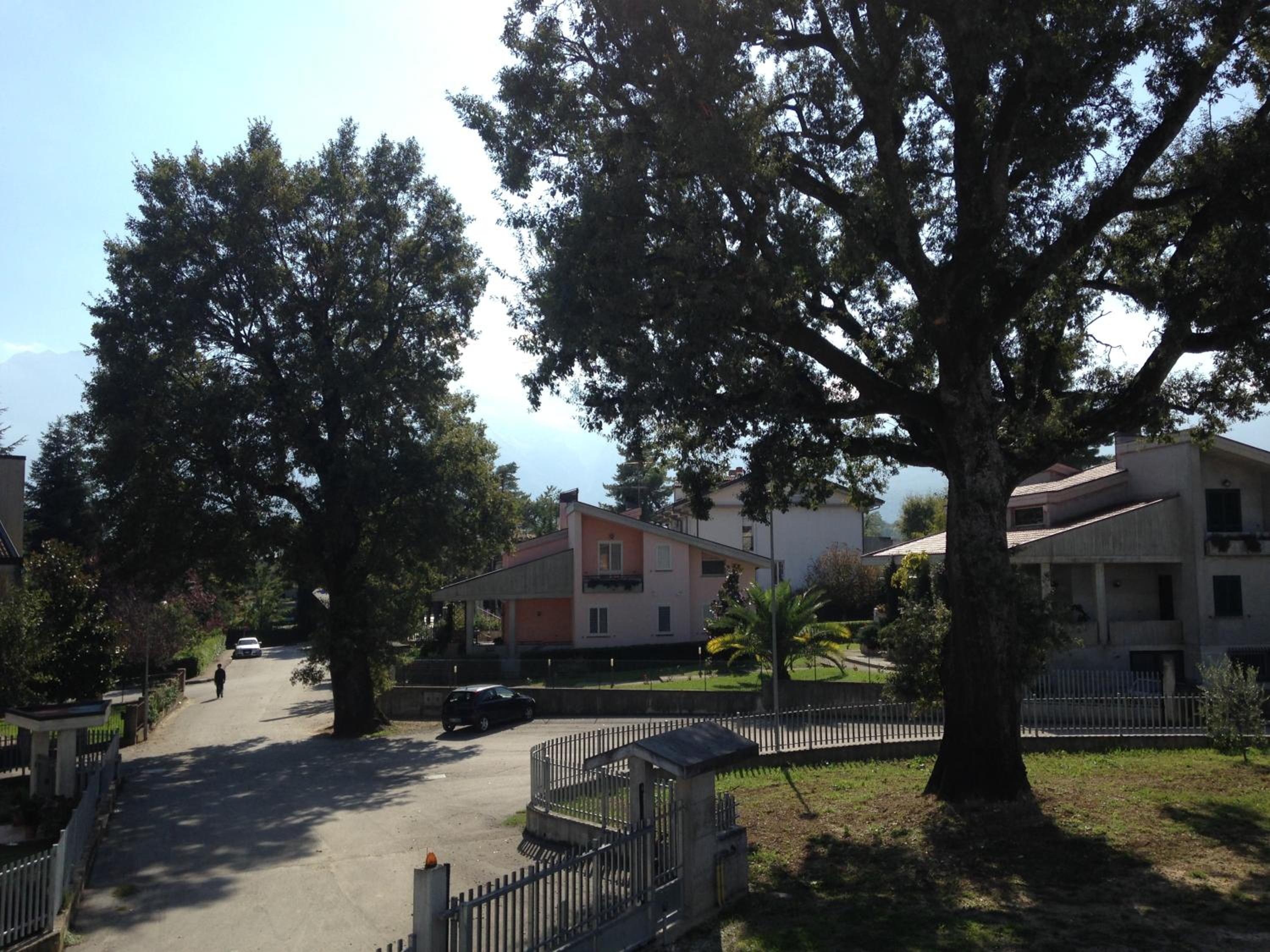Photo 53