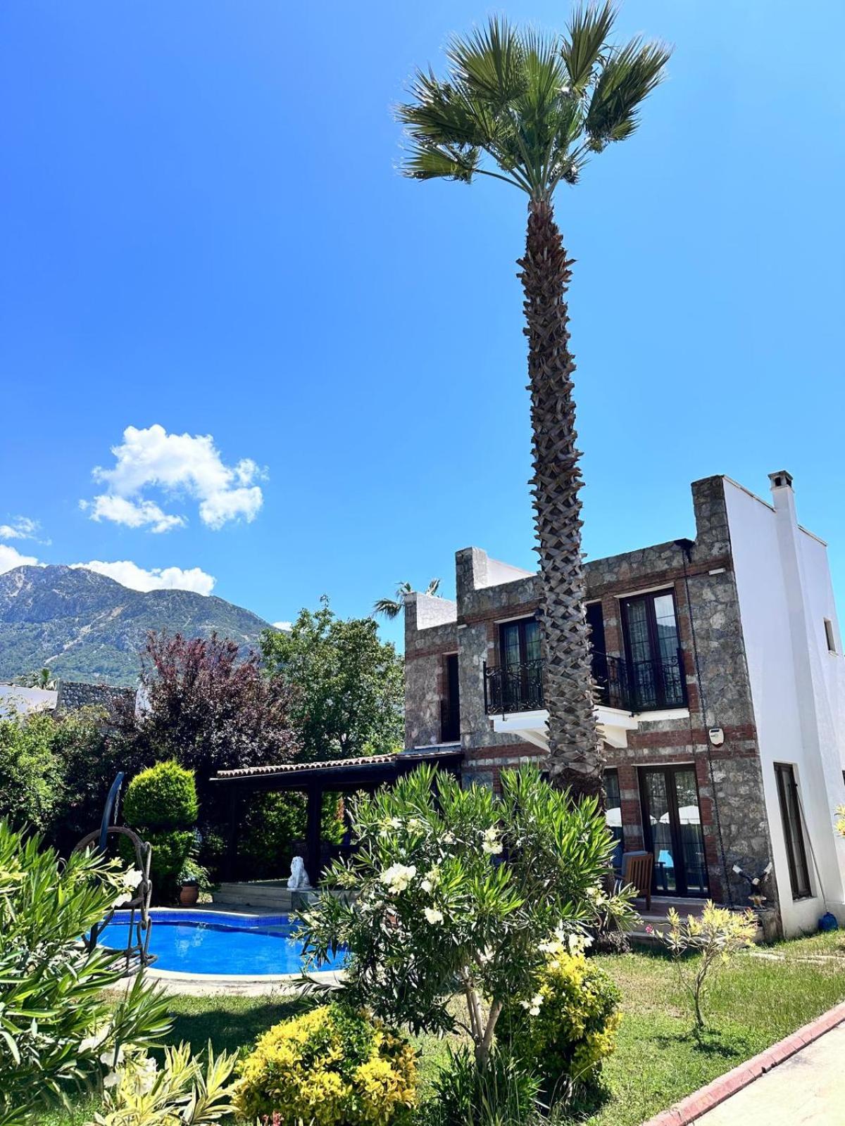 Daphne Home view 2