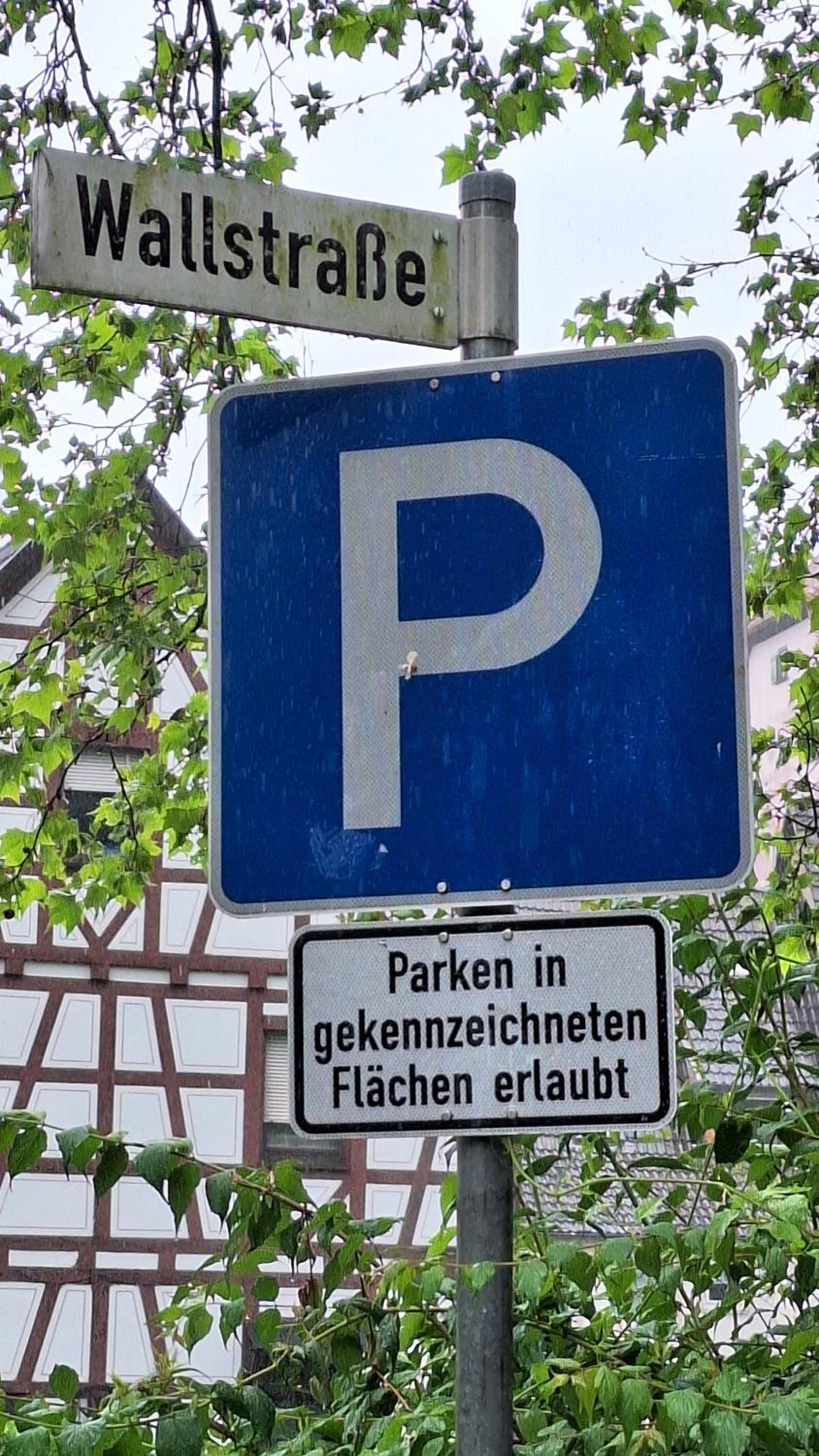 Bad Wimpfen Altstadt - ruhige, private Unterkunft