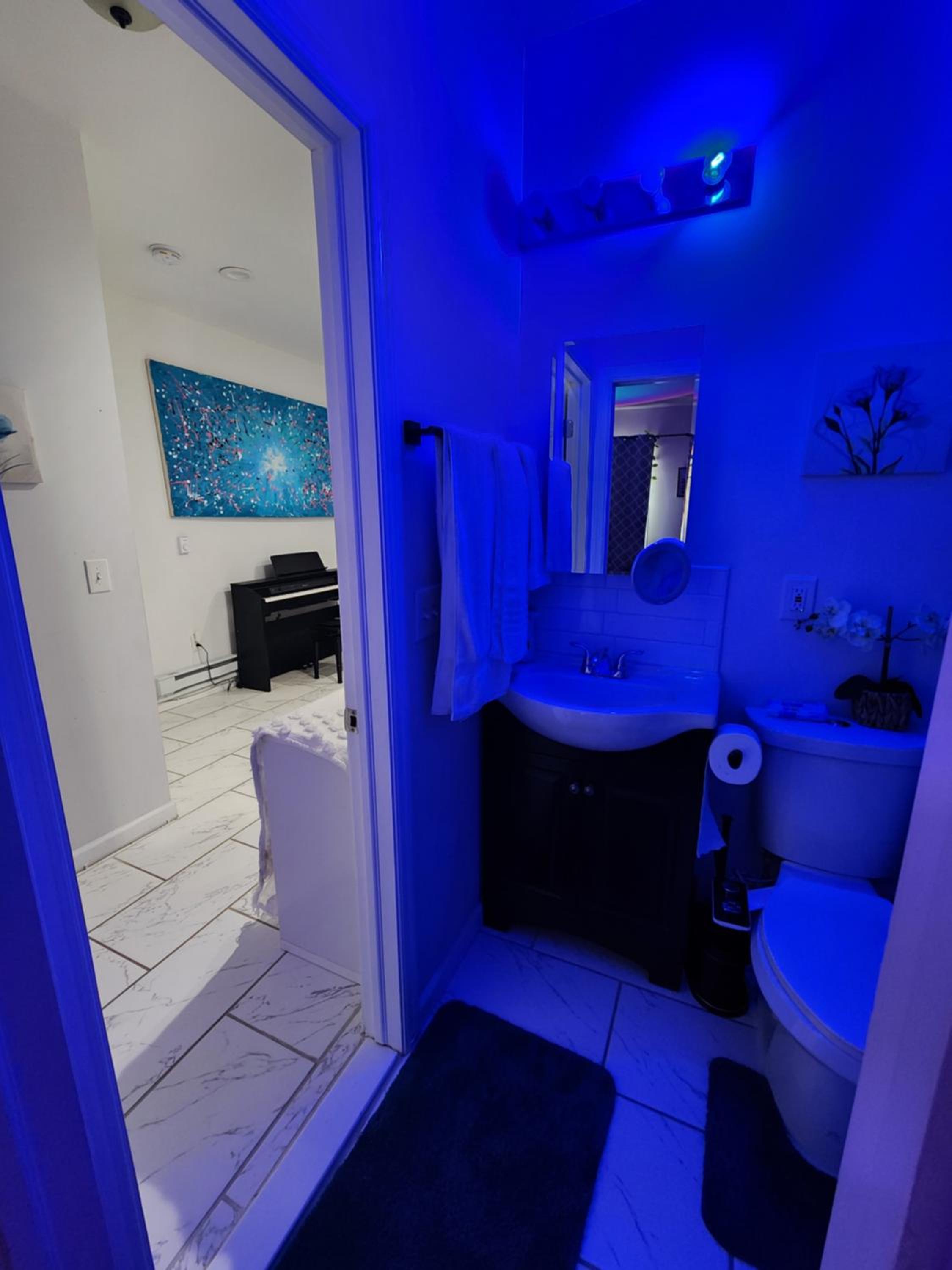 Newark Vacations - Serene Oasis Suite with private bathroom - Property Image 9