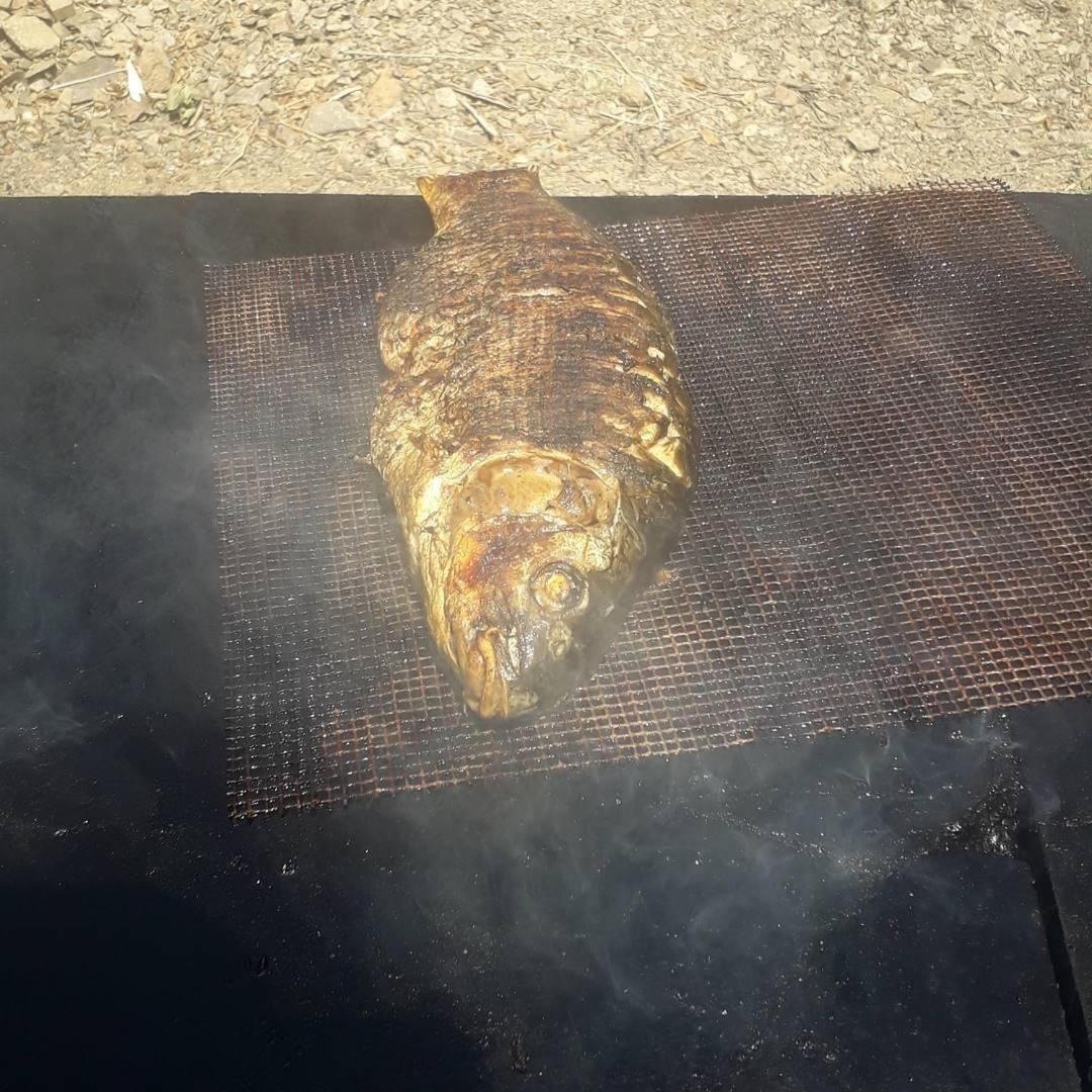 Camping Lisna