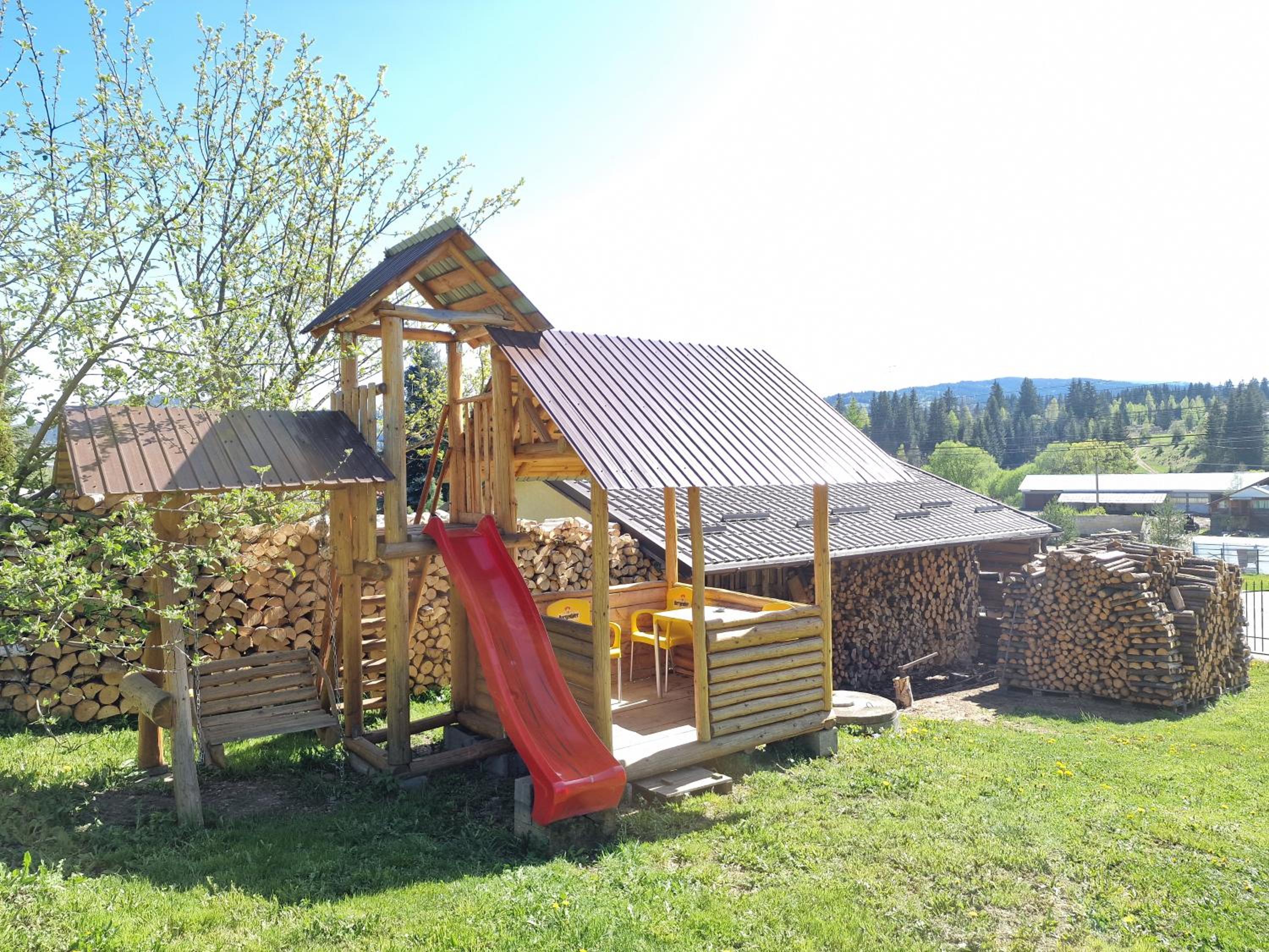 Photo 8