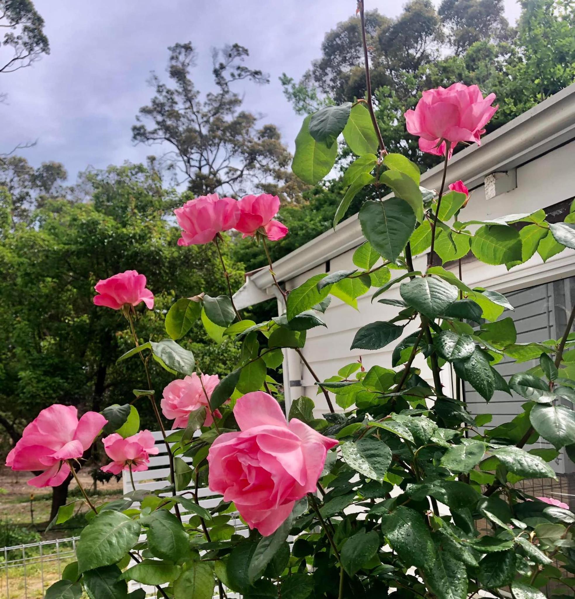 Serenity House Pemberton Cottage & Wellness Spa