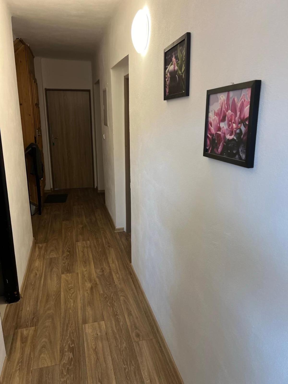 Apartmany Star