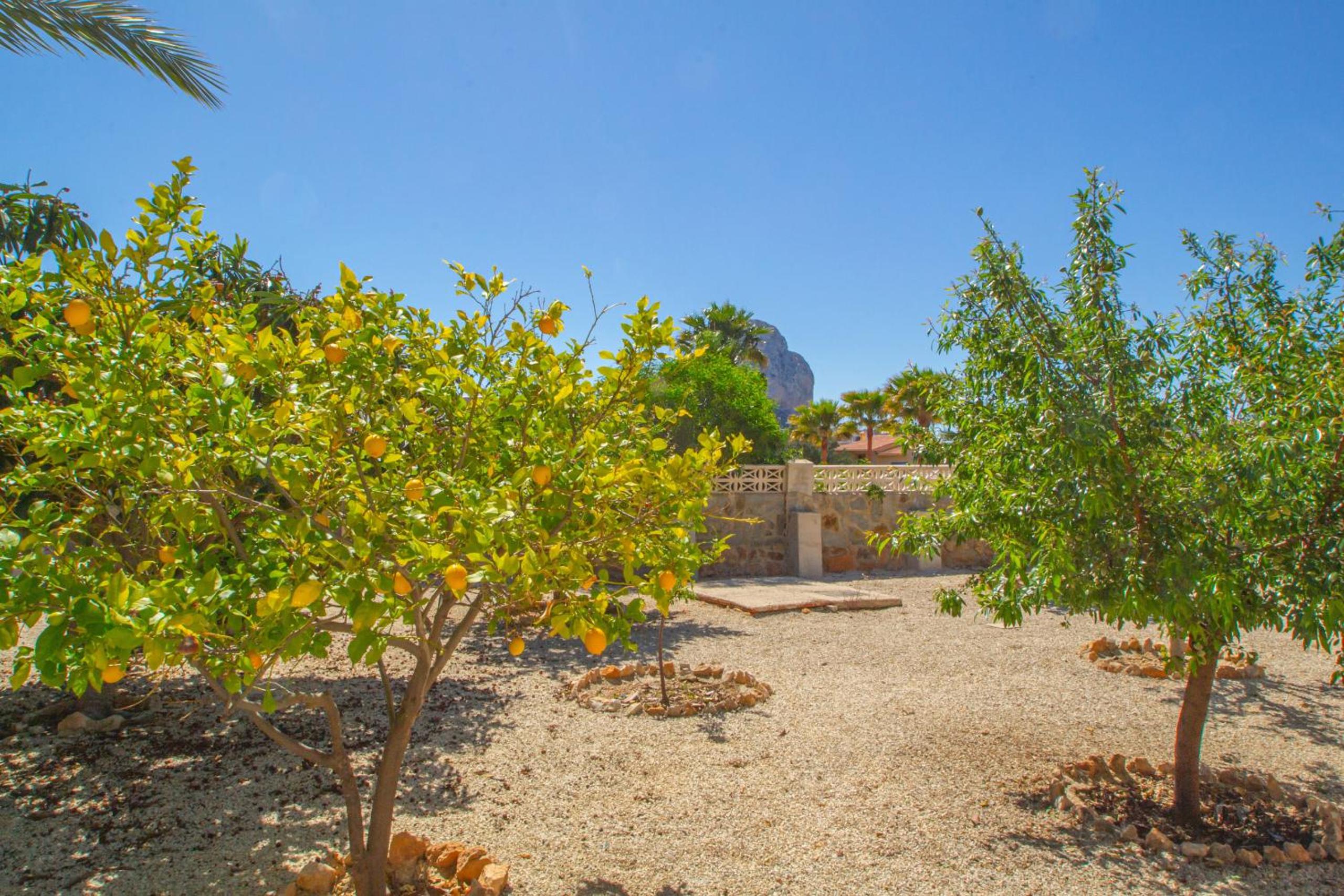Villa Cohete - Plusholidays