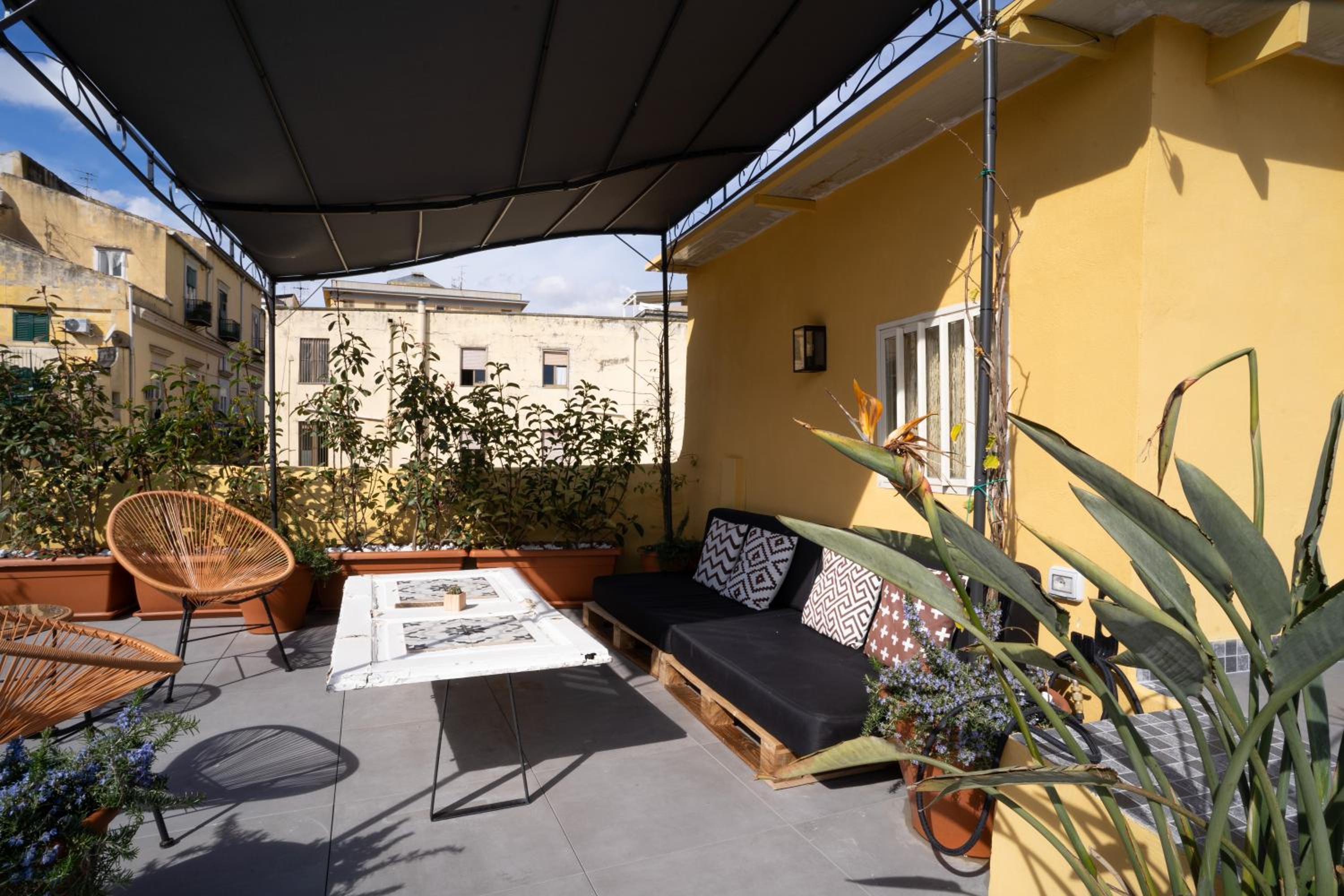 balance & terrace