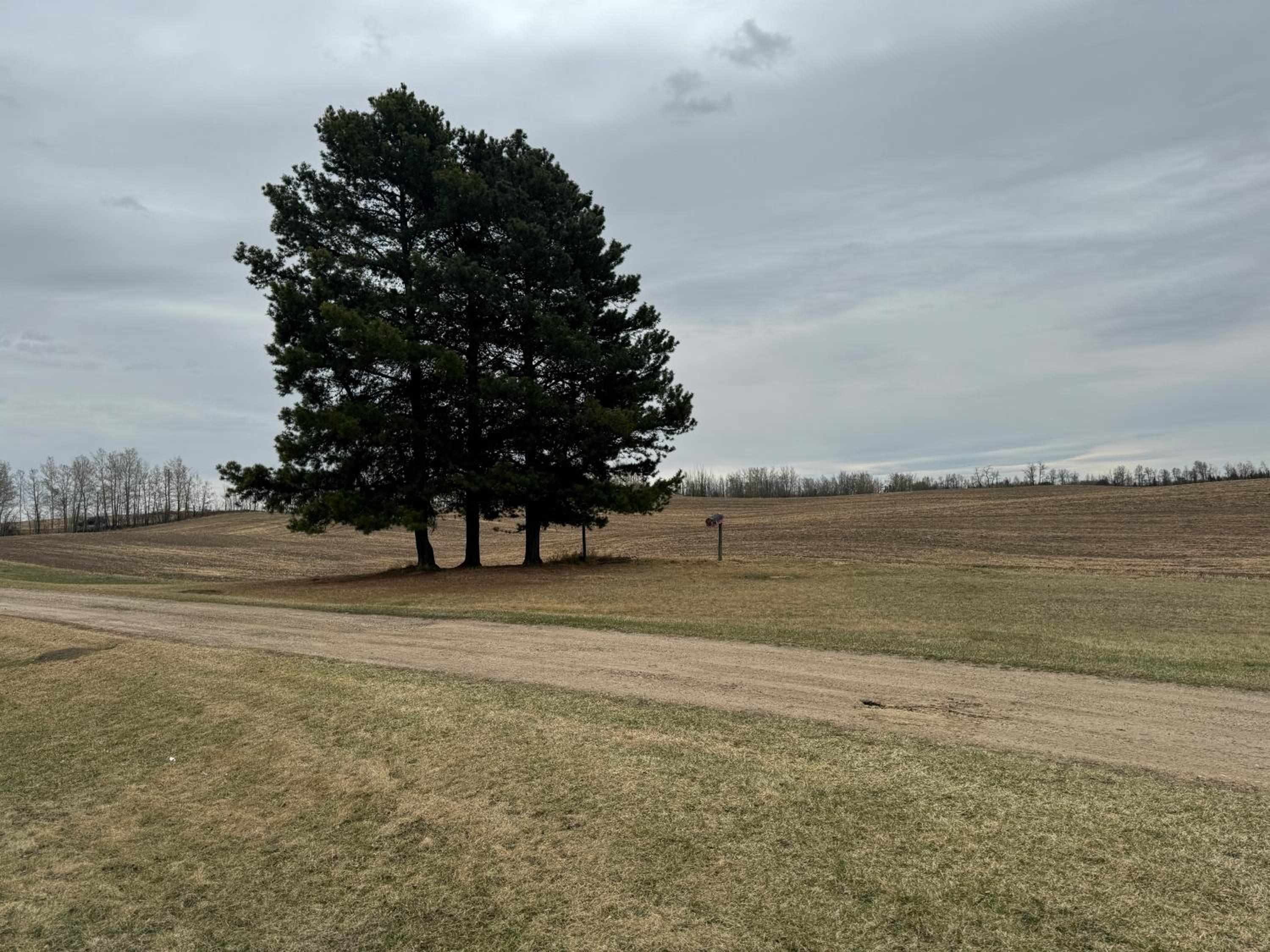 Farmhouse in Alberta