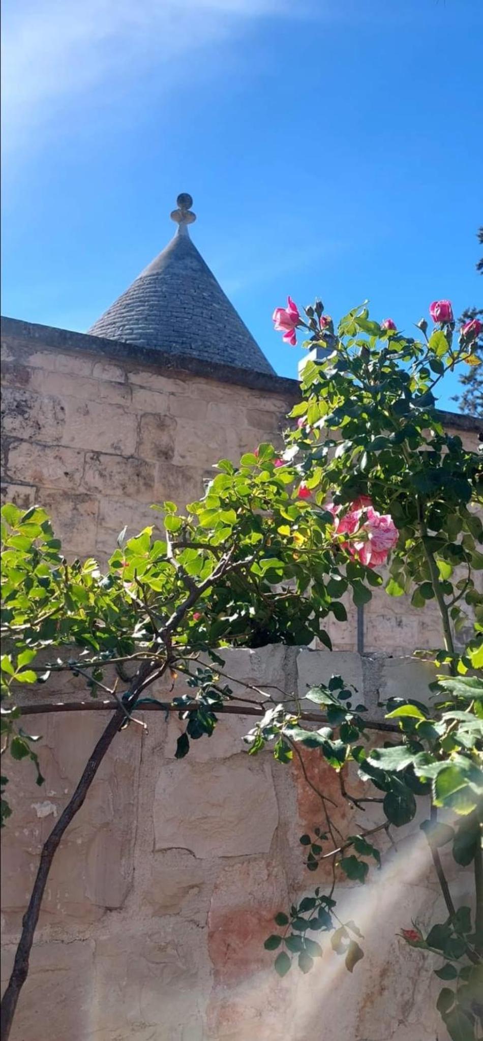 Photo 27