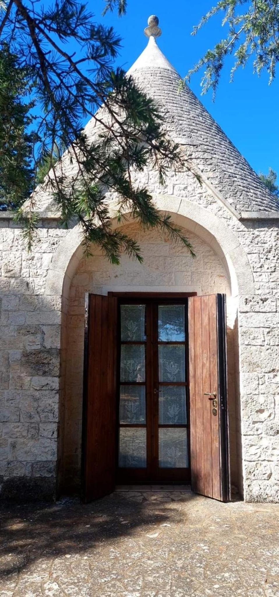 Photo 31