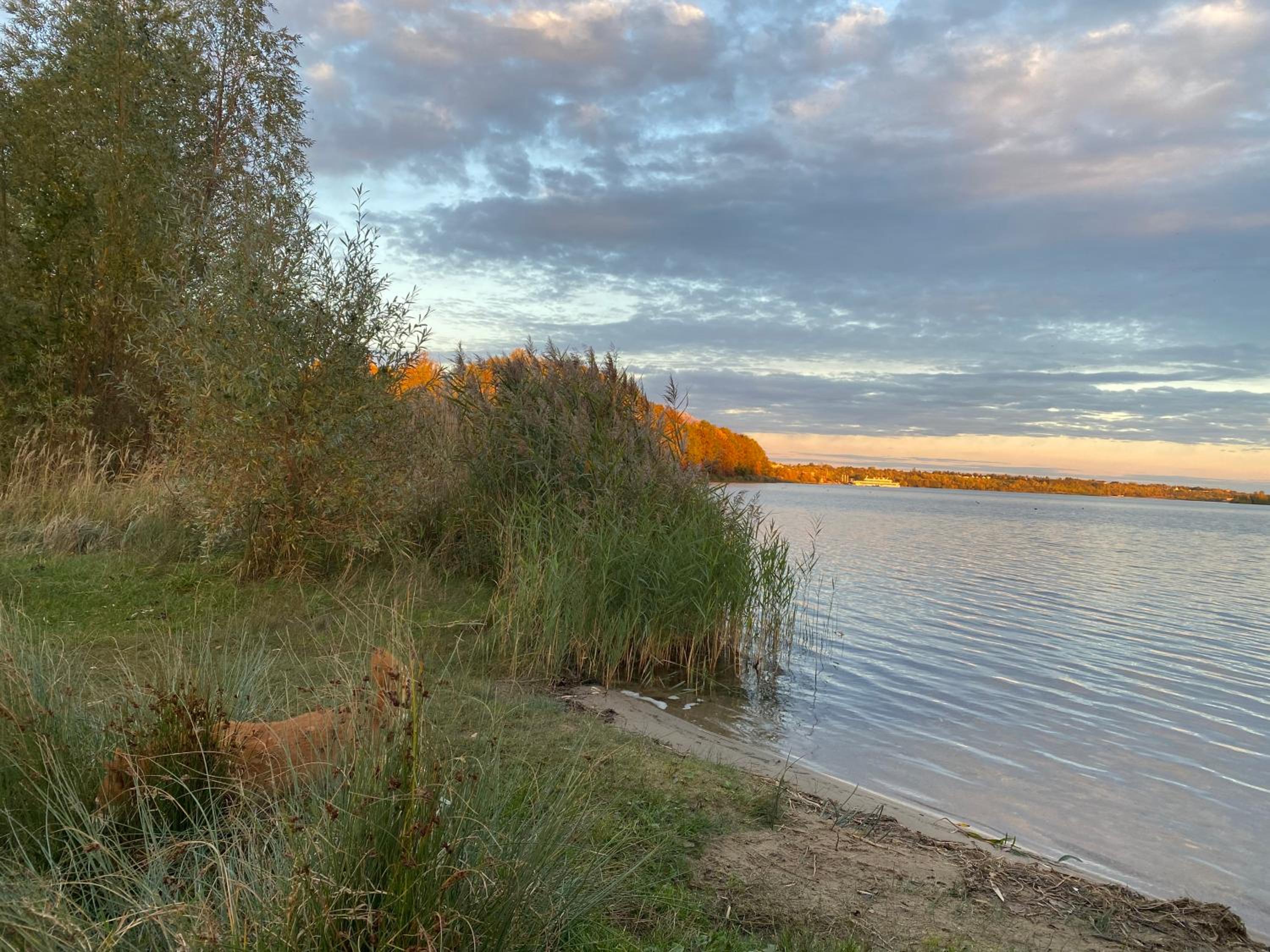 House Apartment am See