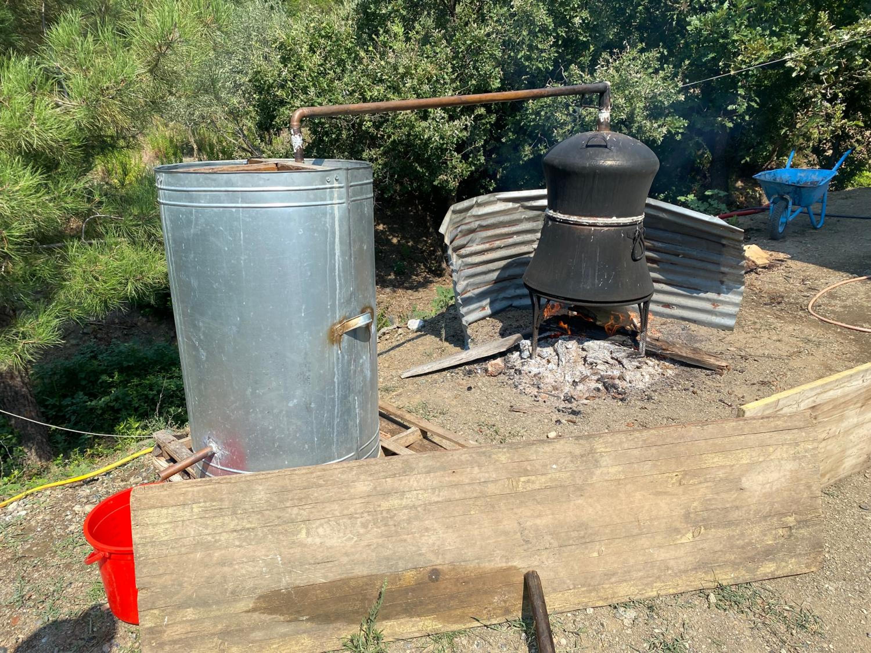 Camping Lisna