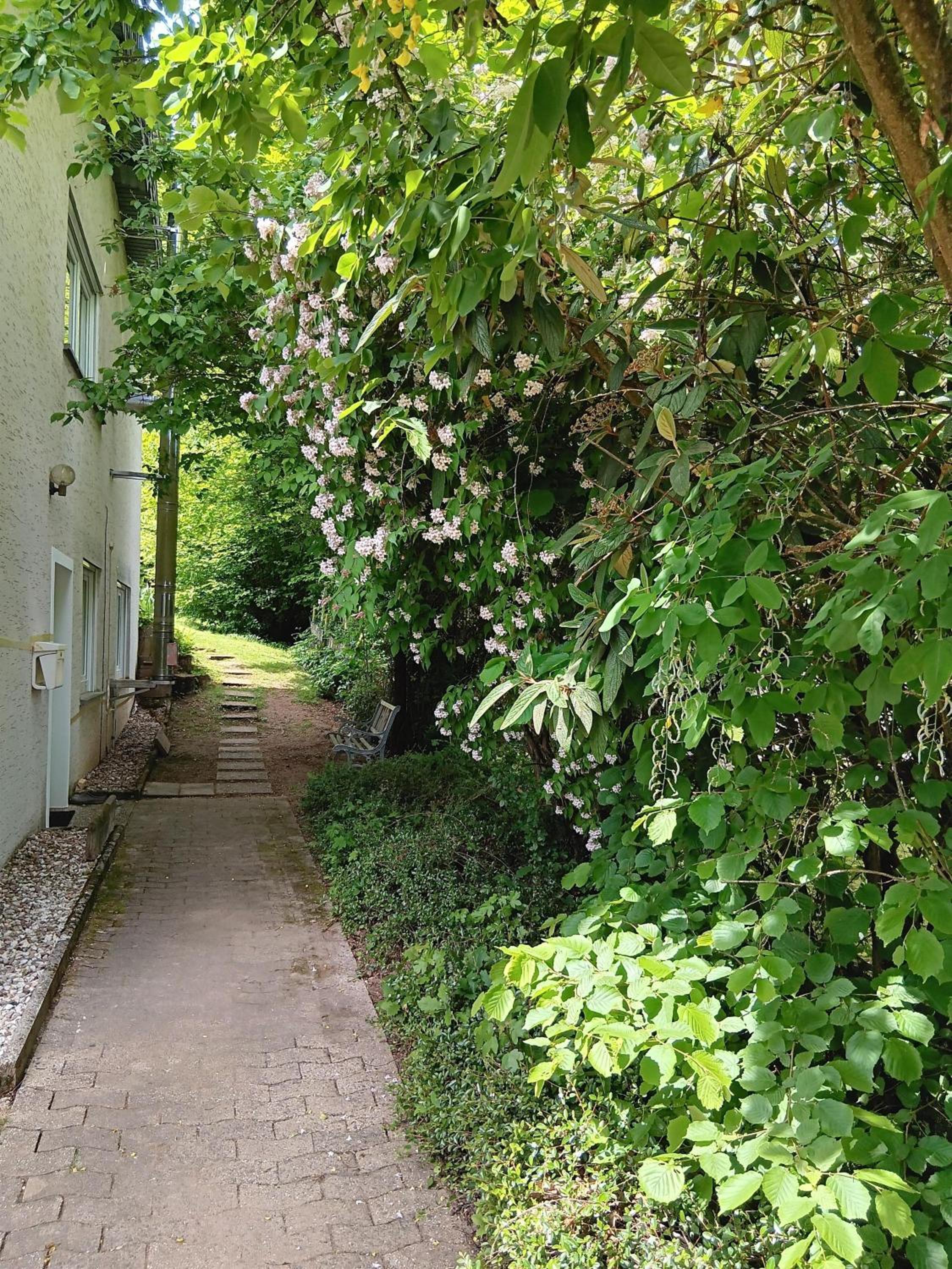 Ferienwohnung Am Waldesrand