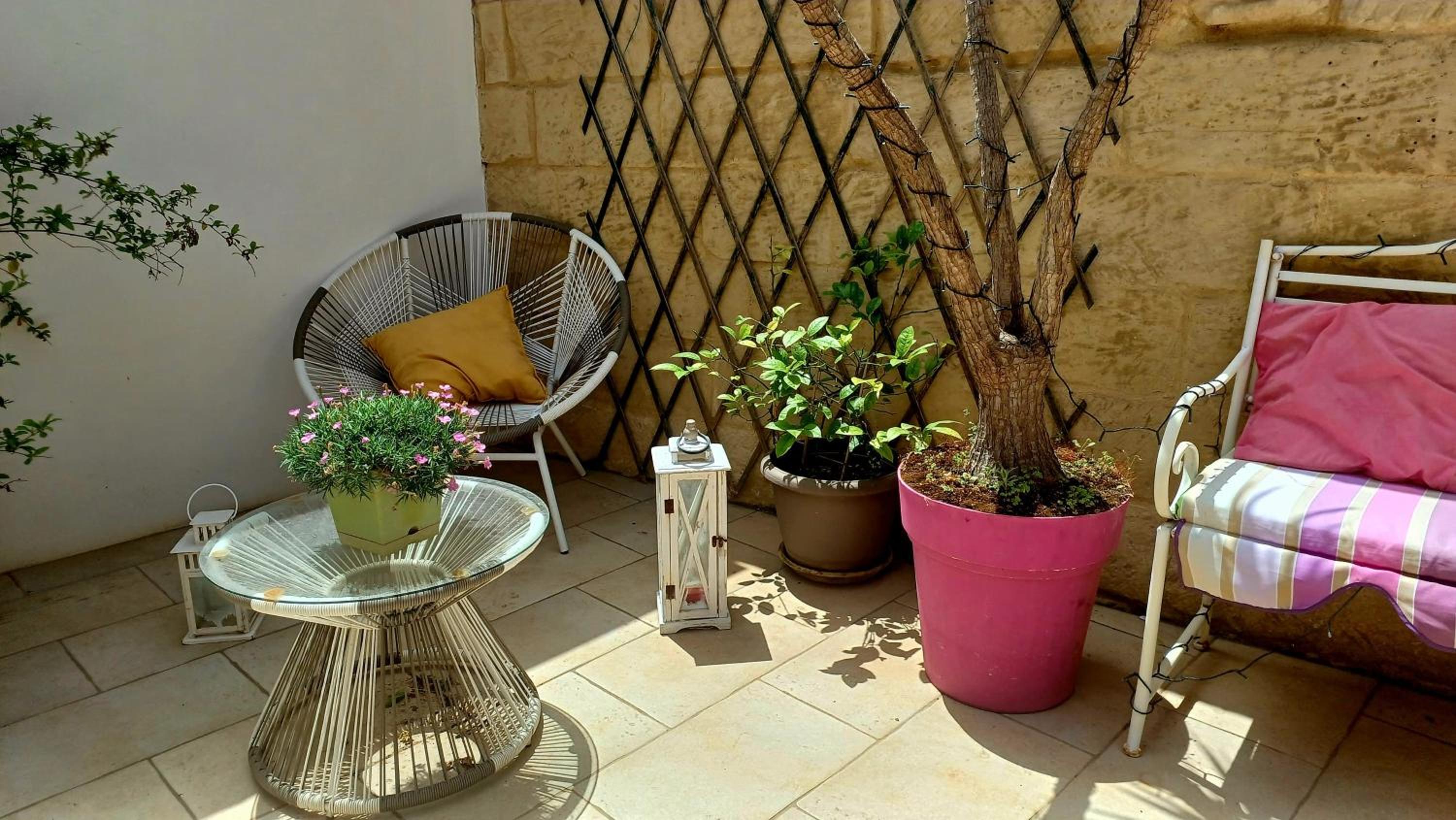 balance & terrace