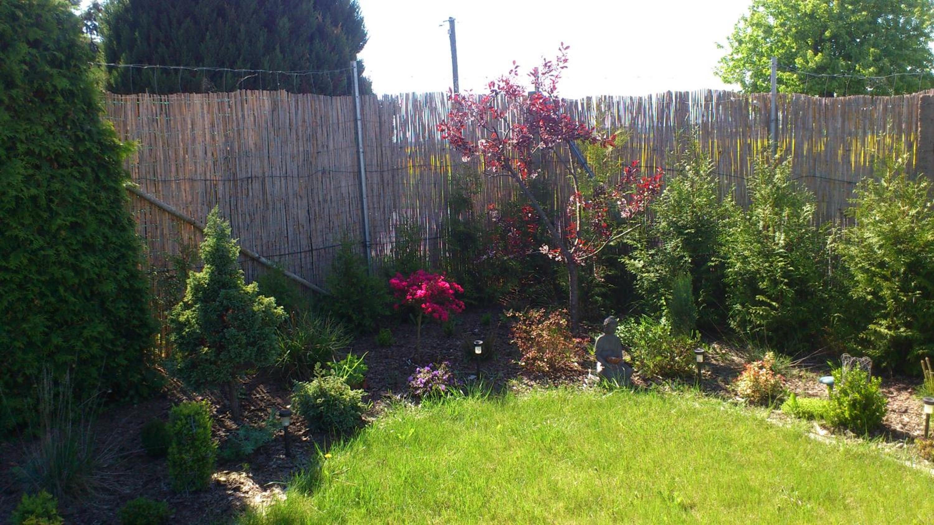 Photo 52